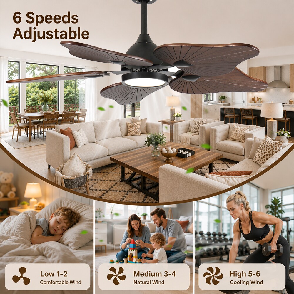 Duclsaty 1P2352P328943 Ceiling-Fans - View #3
