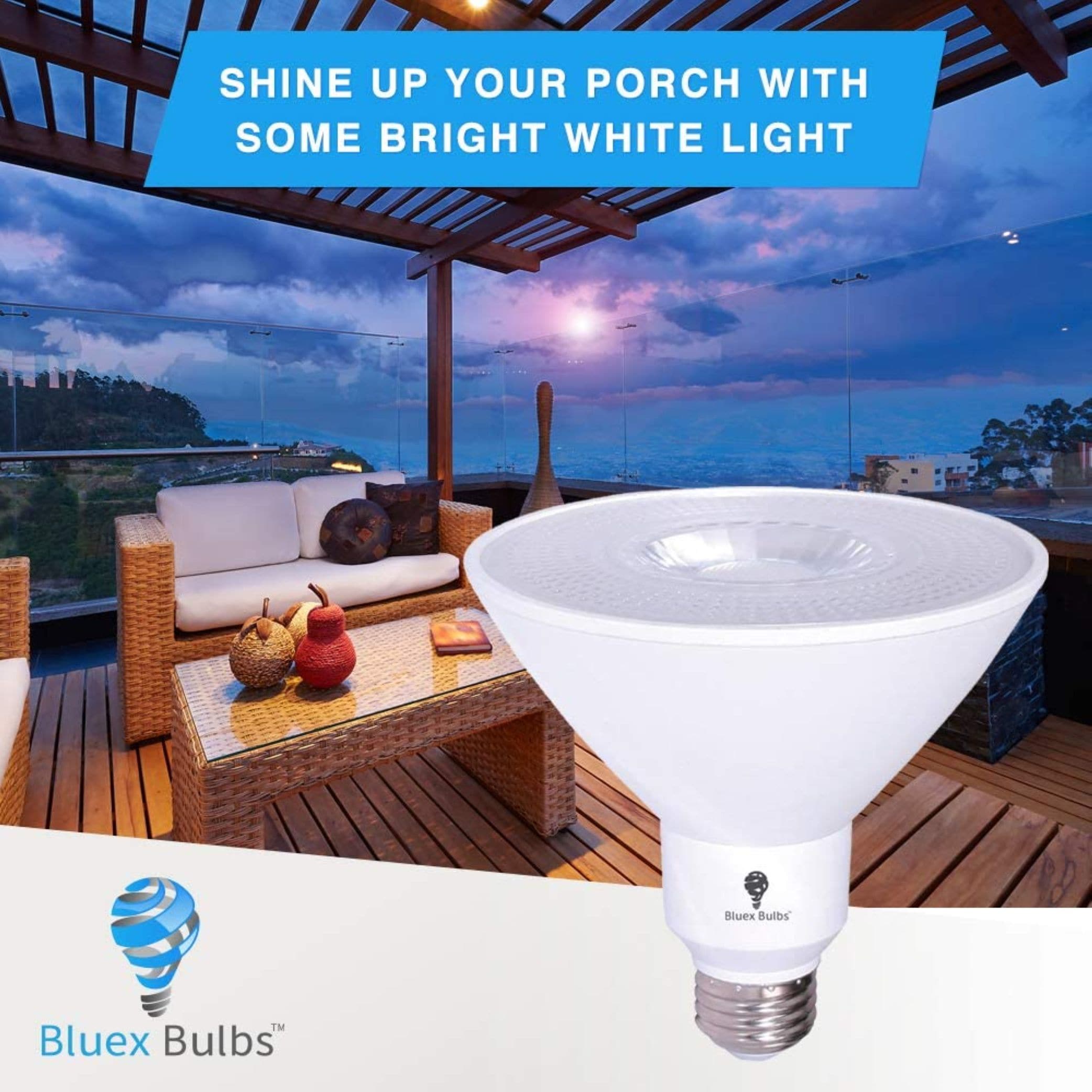 Bluex Bulbs PAR30-10W-SHORT-5K Led-Lights - View #6