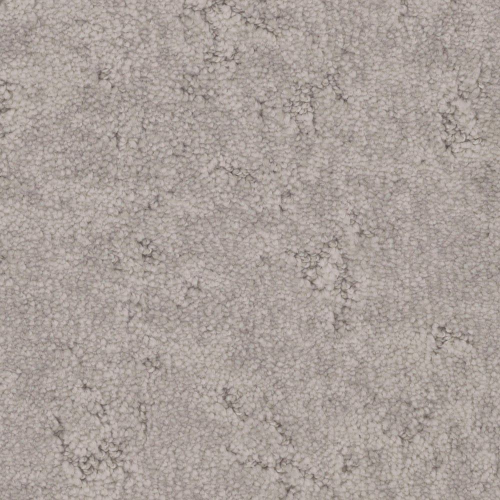 STAINMASTER PetProtect S9145-909-S (Sample) Pine Knoll Driftwood Silver 45-oz sq yard Nylon Pattern Indoor Carpet