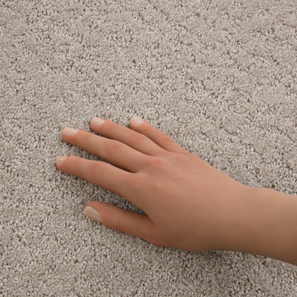 STAINMASTER PetProtect 7L944-124-SAMP Carpet-Samples - View #4