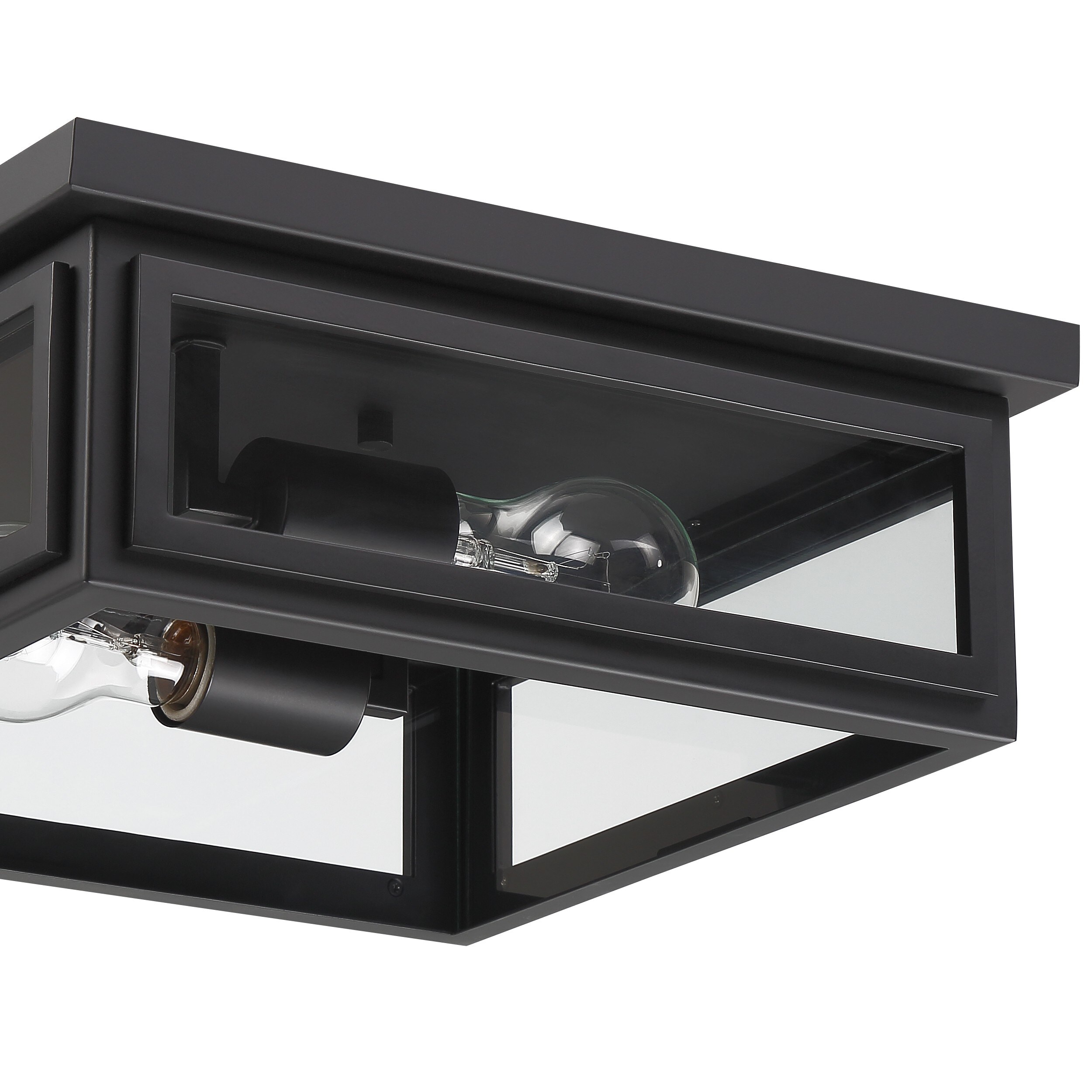 Matte Black and Clear Glass 2-Light Outdoor Flush Mount