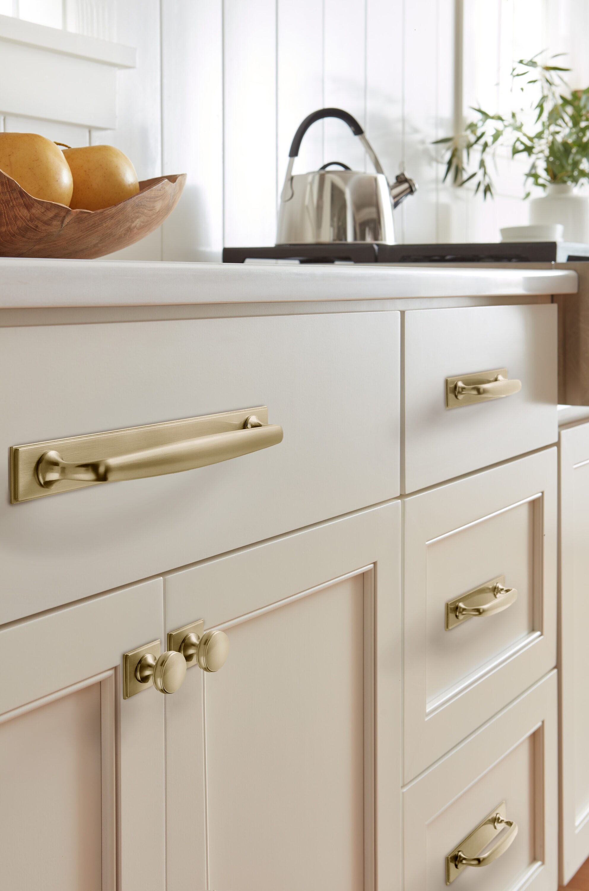 Amerock BP37586BBZ backplates - View #6