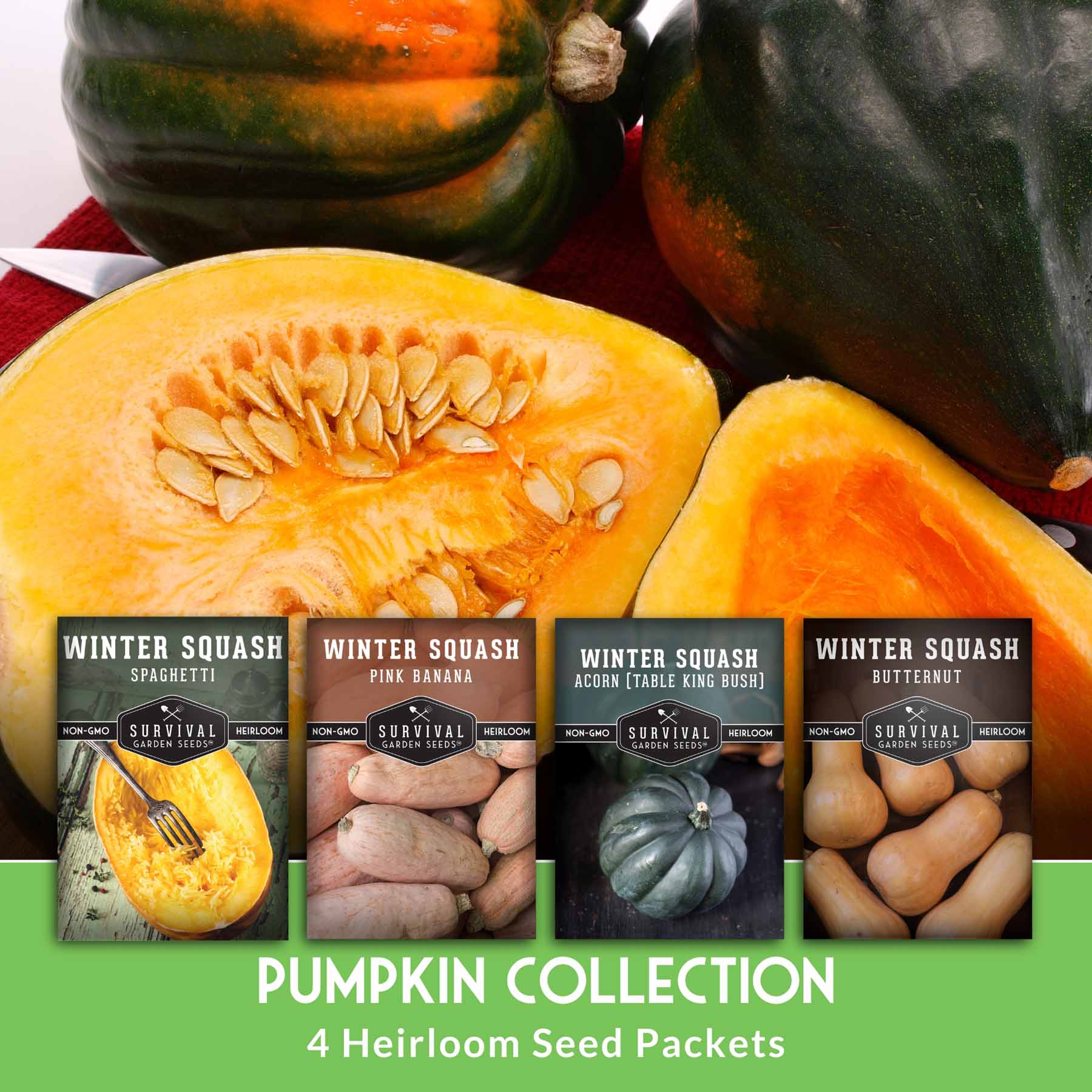 Survival Garden Seeds WINTERSQUASHCOLLEC Vegetable-Herb-Seeds - View #4