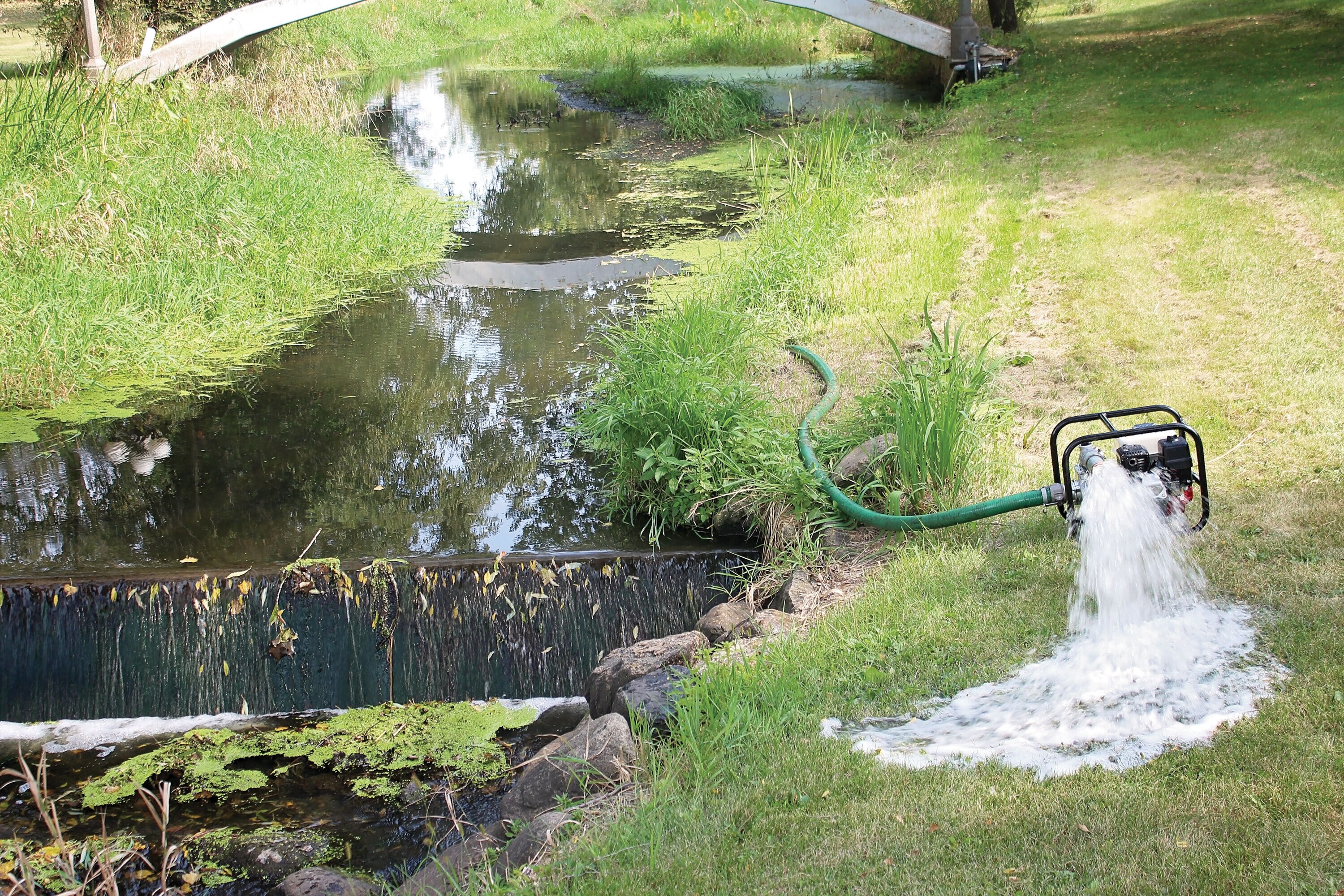 BRAVE BRP160SP3 pumps - View #7