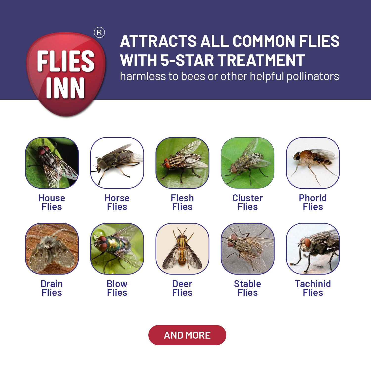 FLIES INN FLLITE3 repellents - View #5