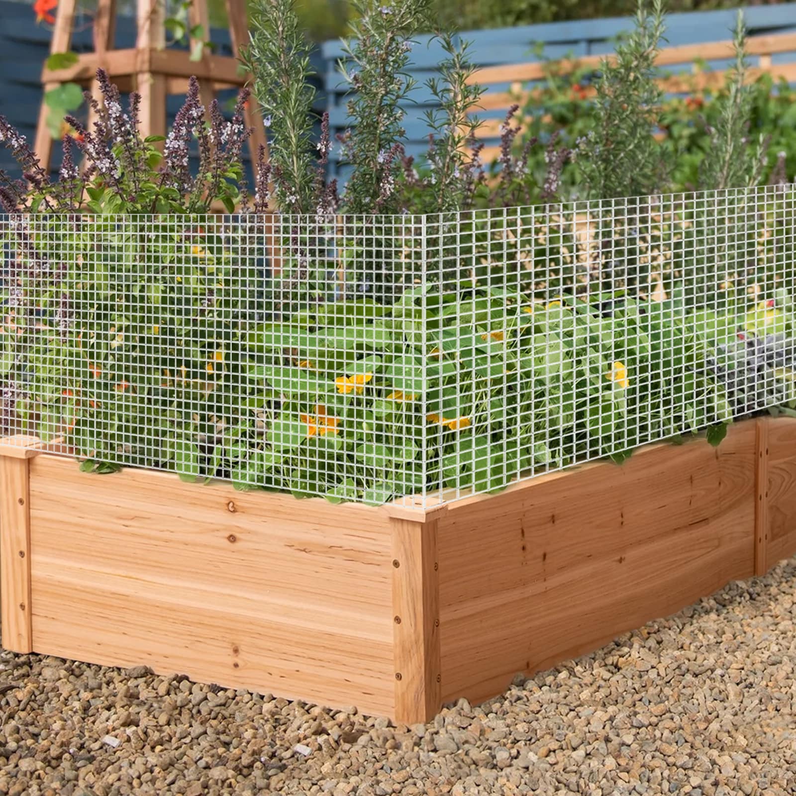 Maocao Hoom BH51754 Rolled-Fence - View #3