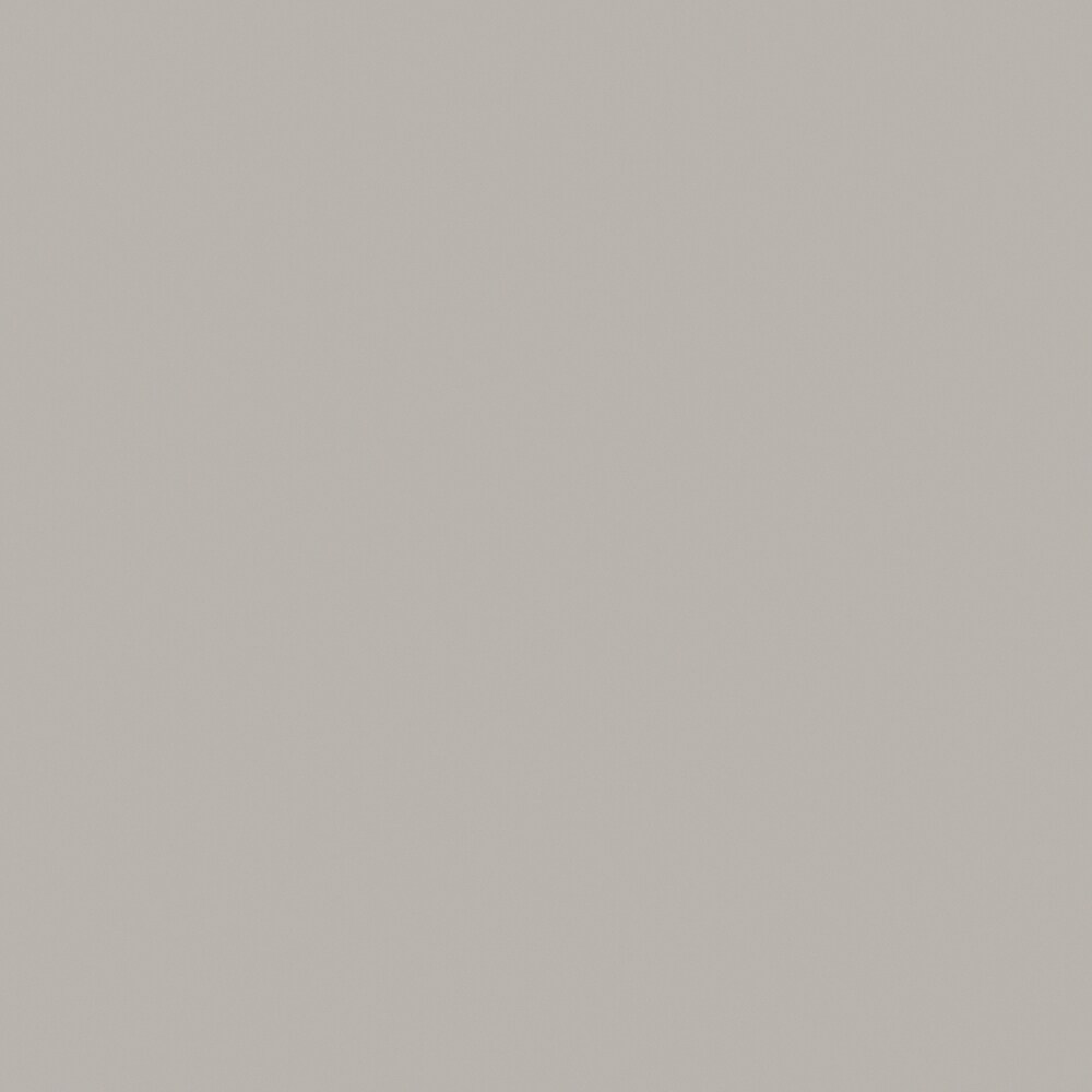 Formica Brand Laminate 902-ML-48X96-000 Premium fx 48-Inches W x 96-Inches L Platinum Monolith Solid Kitchen Laminate Sheet