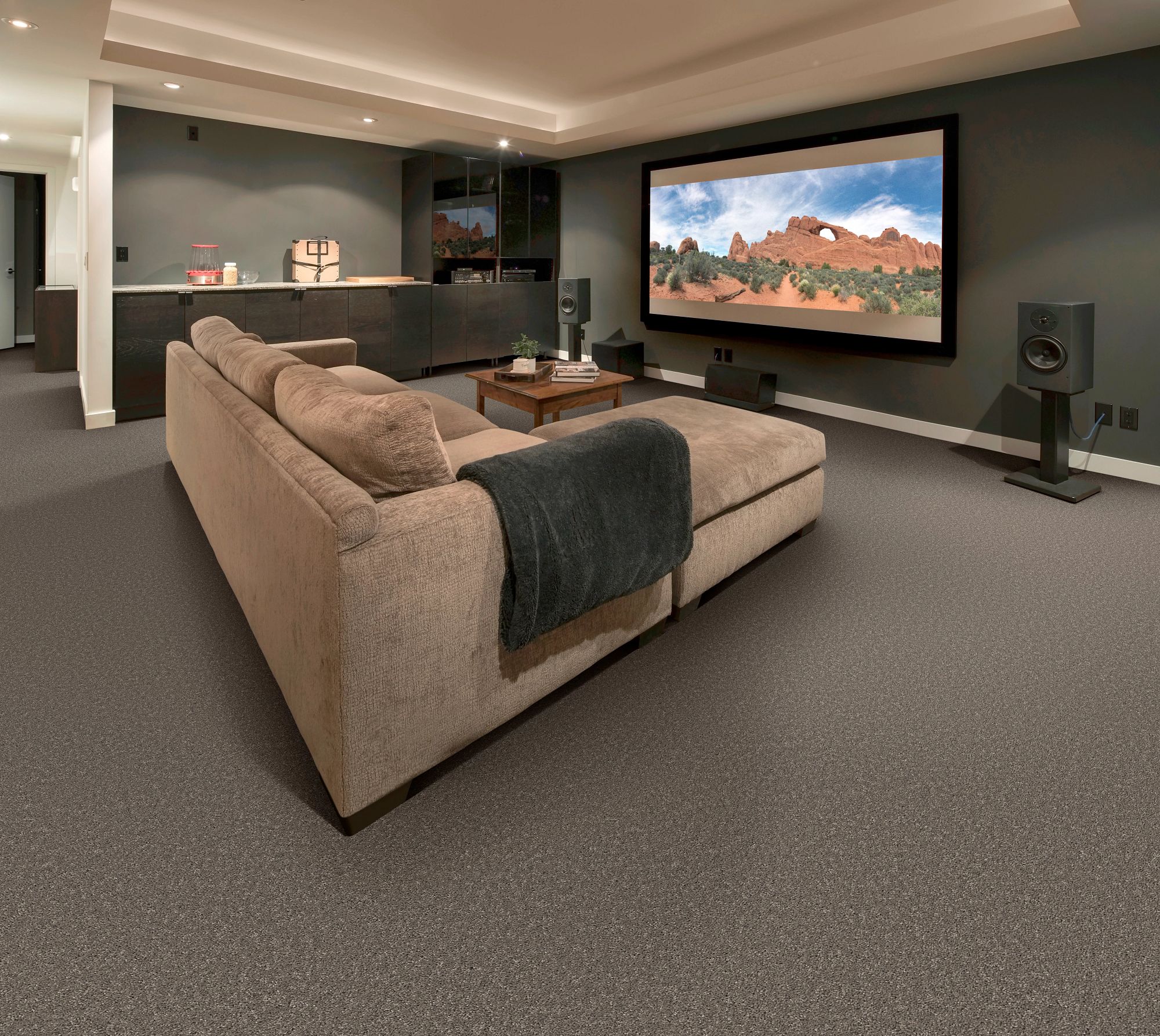 Style Selections SOS Dialed In II Urban Taupe Brown 35-oz sq yard Polyester  Textured Indoor Carpet in the Carpet department at