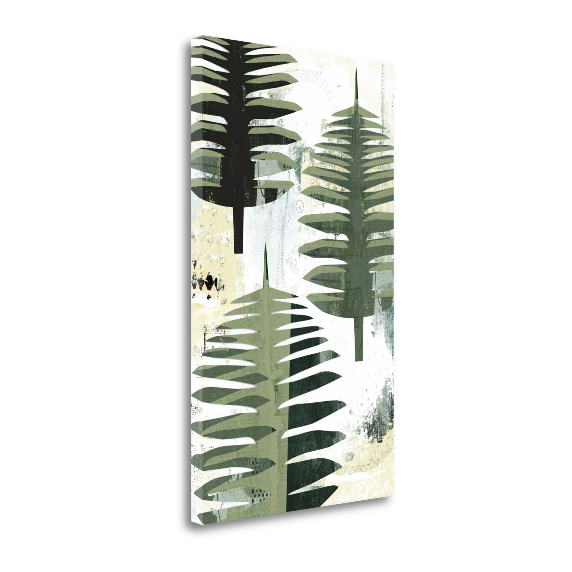 Tangletown Fine Art SBSO1116-2034C Palms Ii Sarah Ogren 34-in H x 20-in W Botanical Print on Canvas