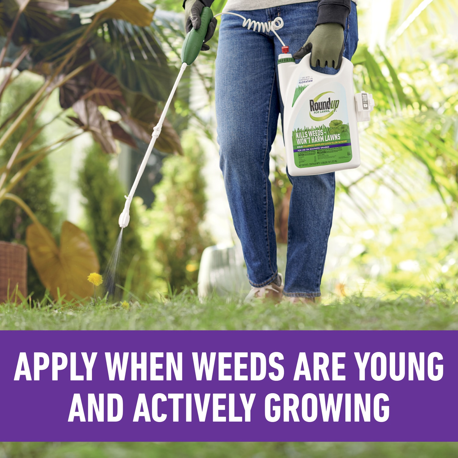Roundup 5012607 Weed-Killers - View #7