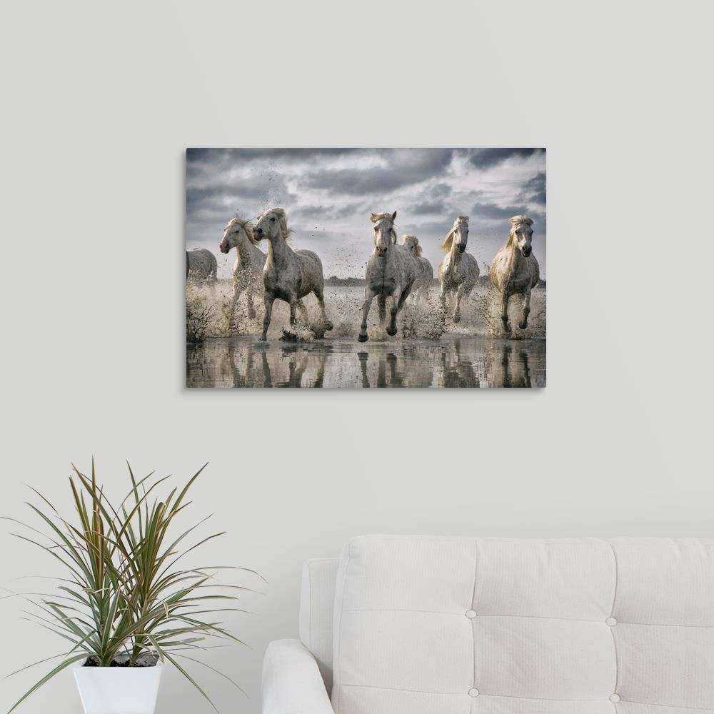 GreatBigCanvas The White Horses of the Camargue 16-in H x 24-in W ...