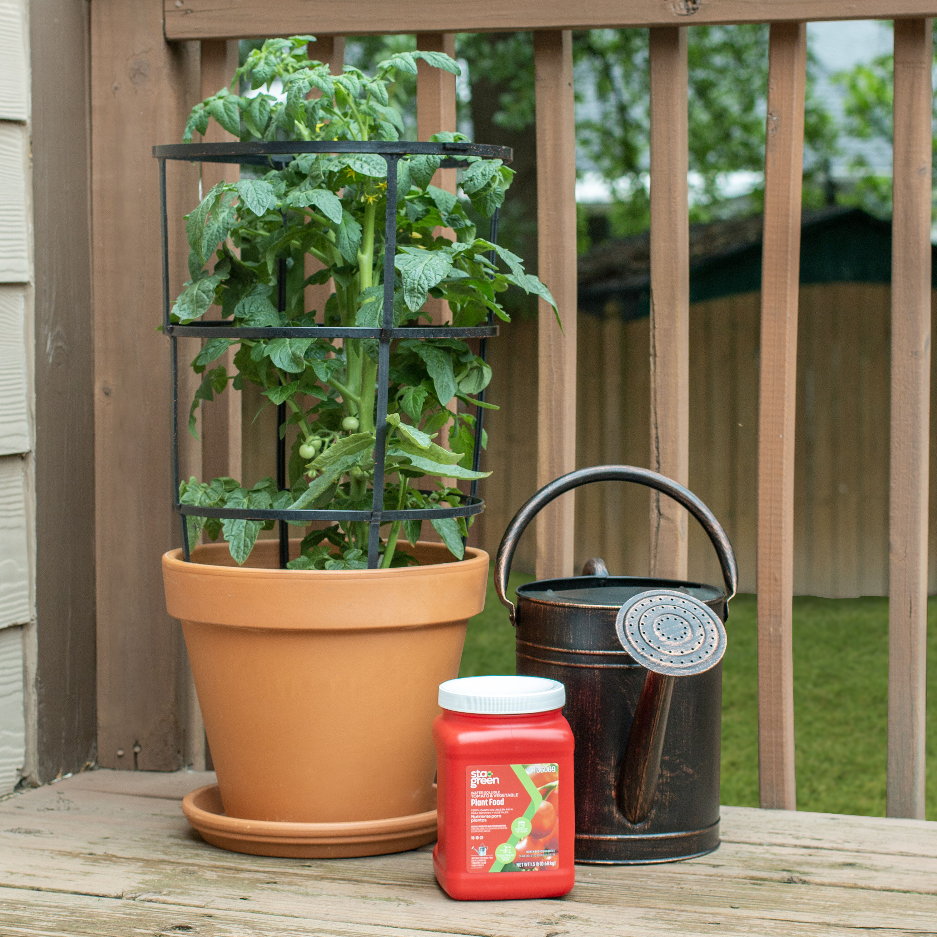 Sta-Green 2149602863 Plant-Food - View #11