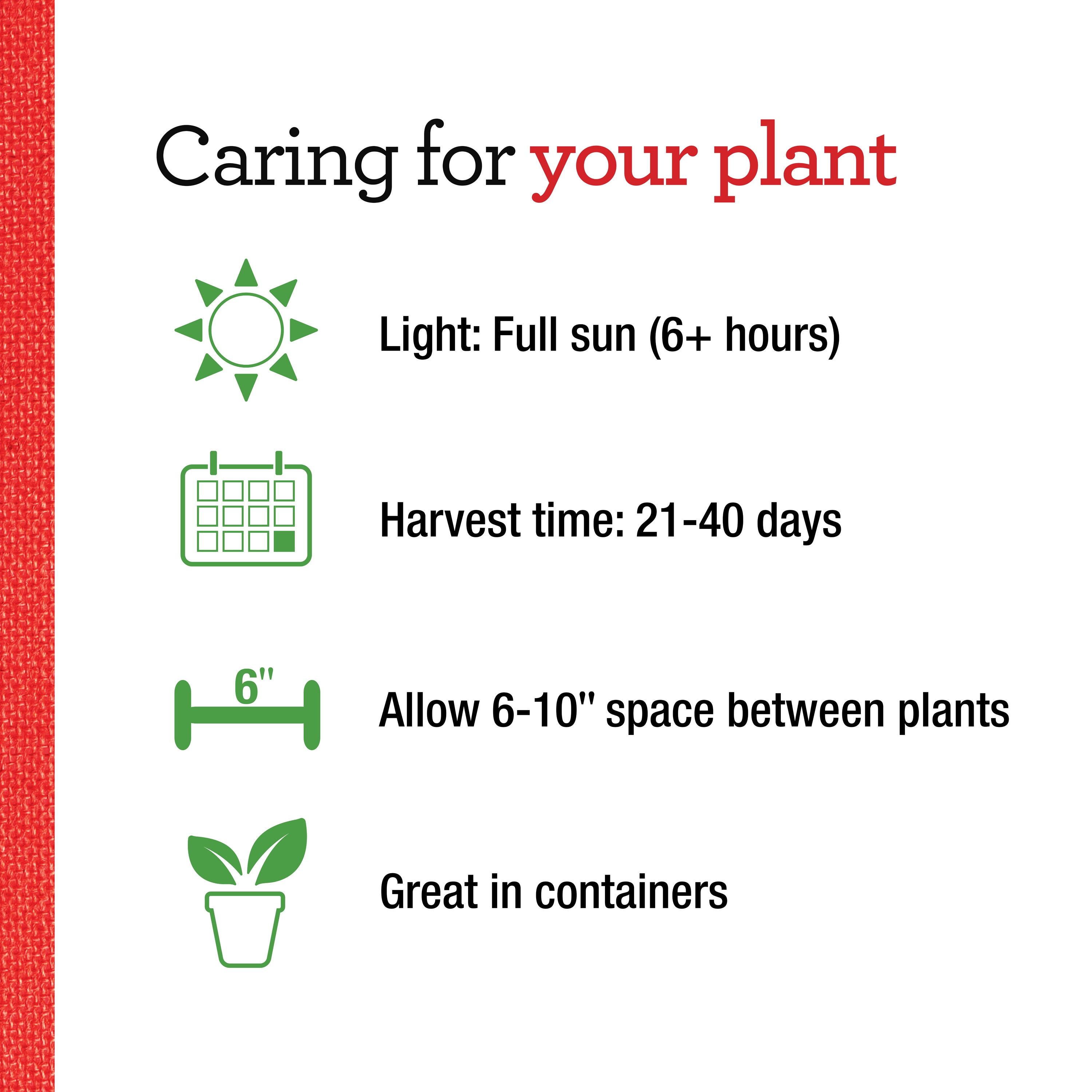 Bonnie Plants 202852 Vegetable-Plants - View #5