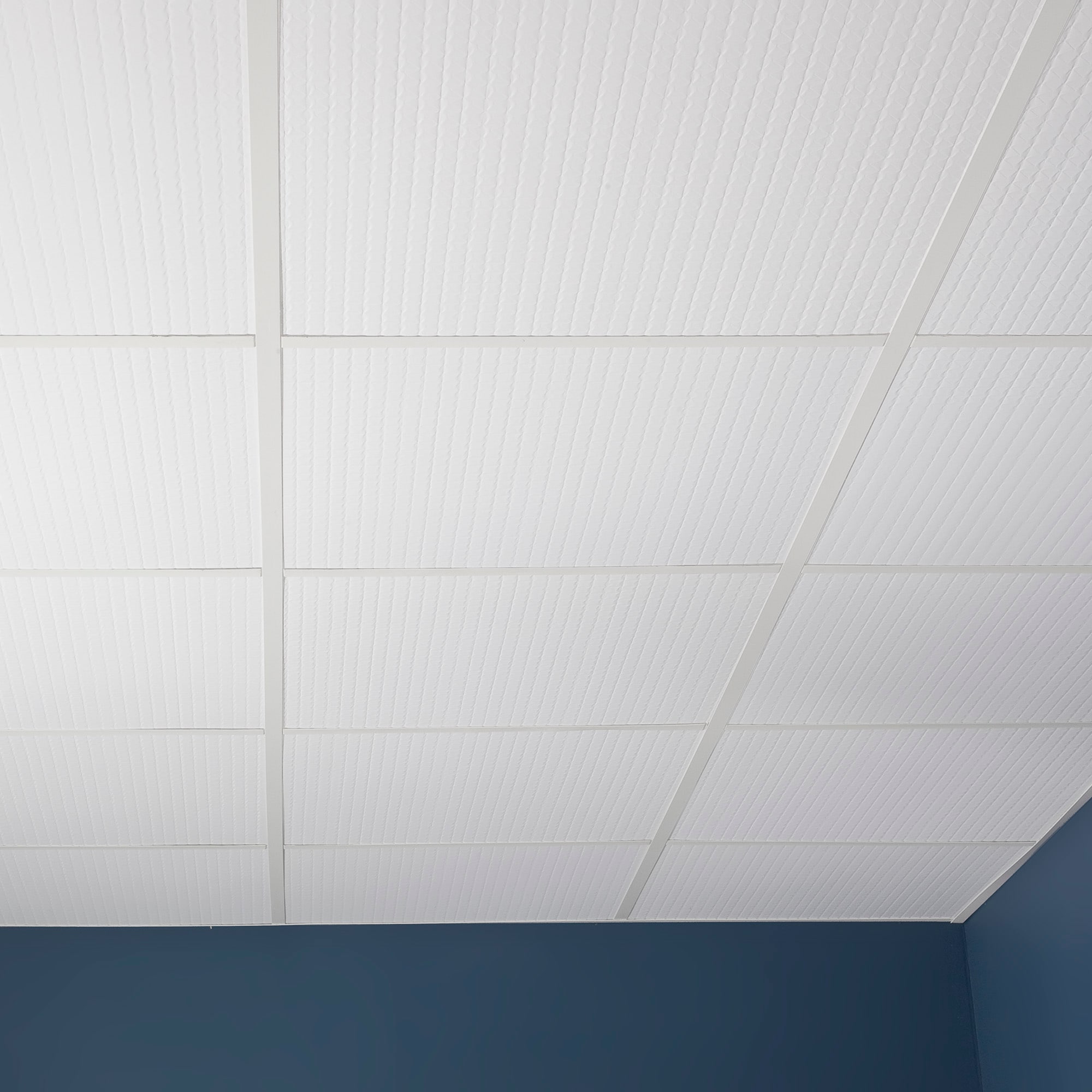 Genesis 750-00 Ceiling-Tile - View #2