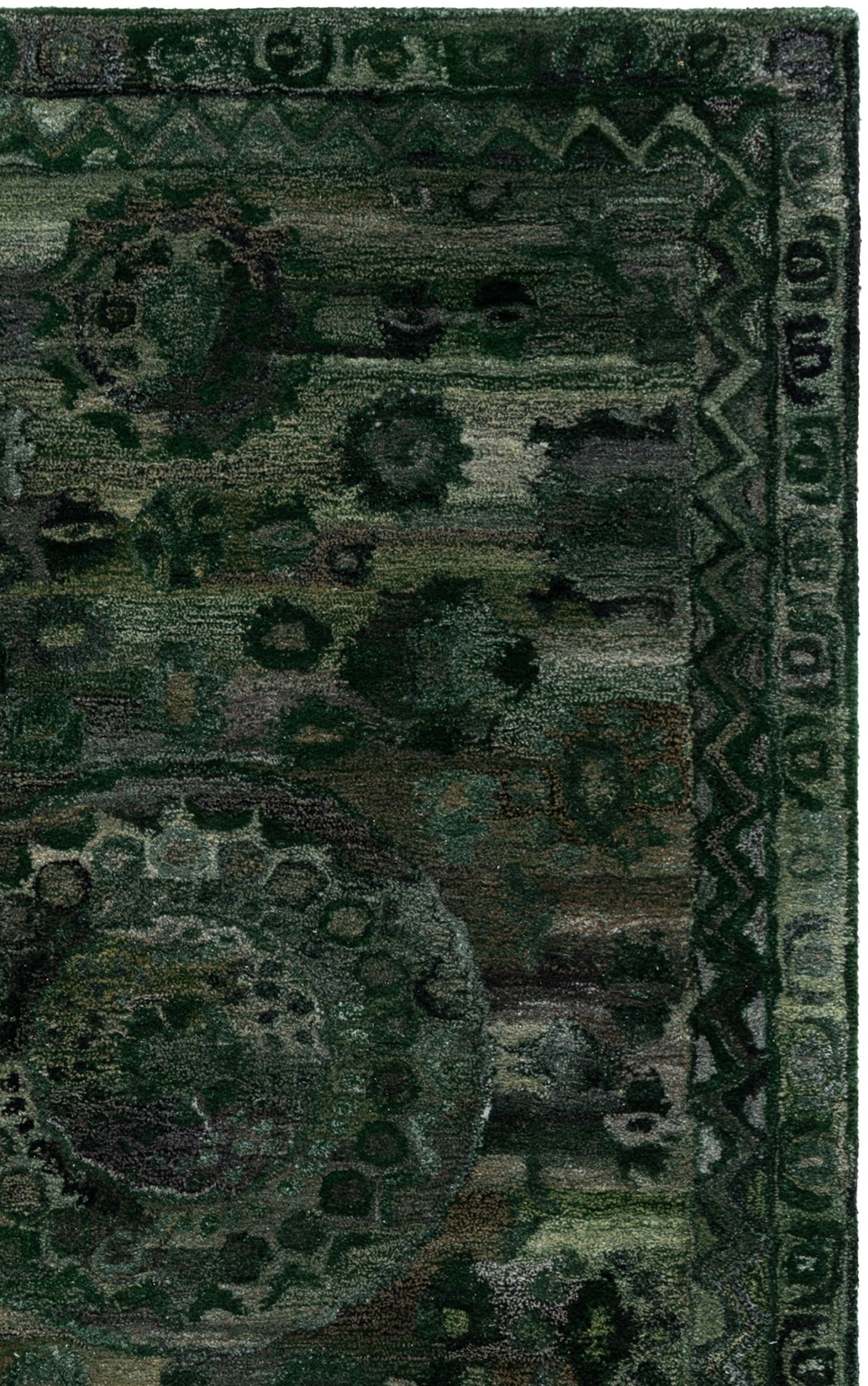 Safavieh AN411W-4 rugs - View #5
