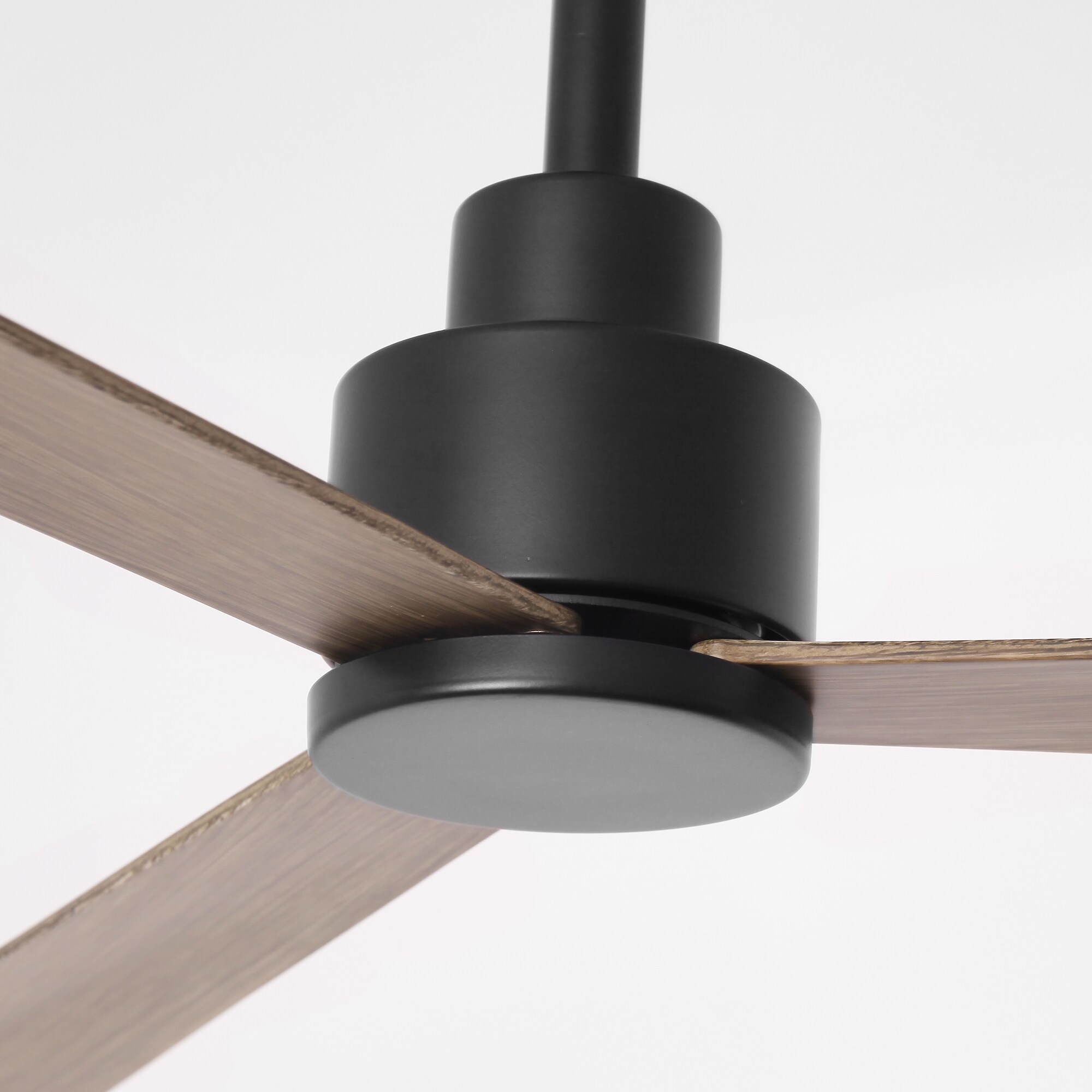 Parrot Uncle F6364WD110V Ceiling-Fans - View #11