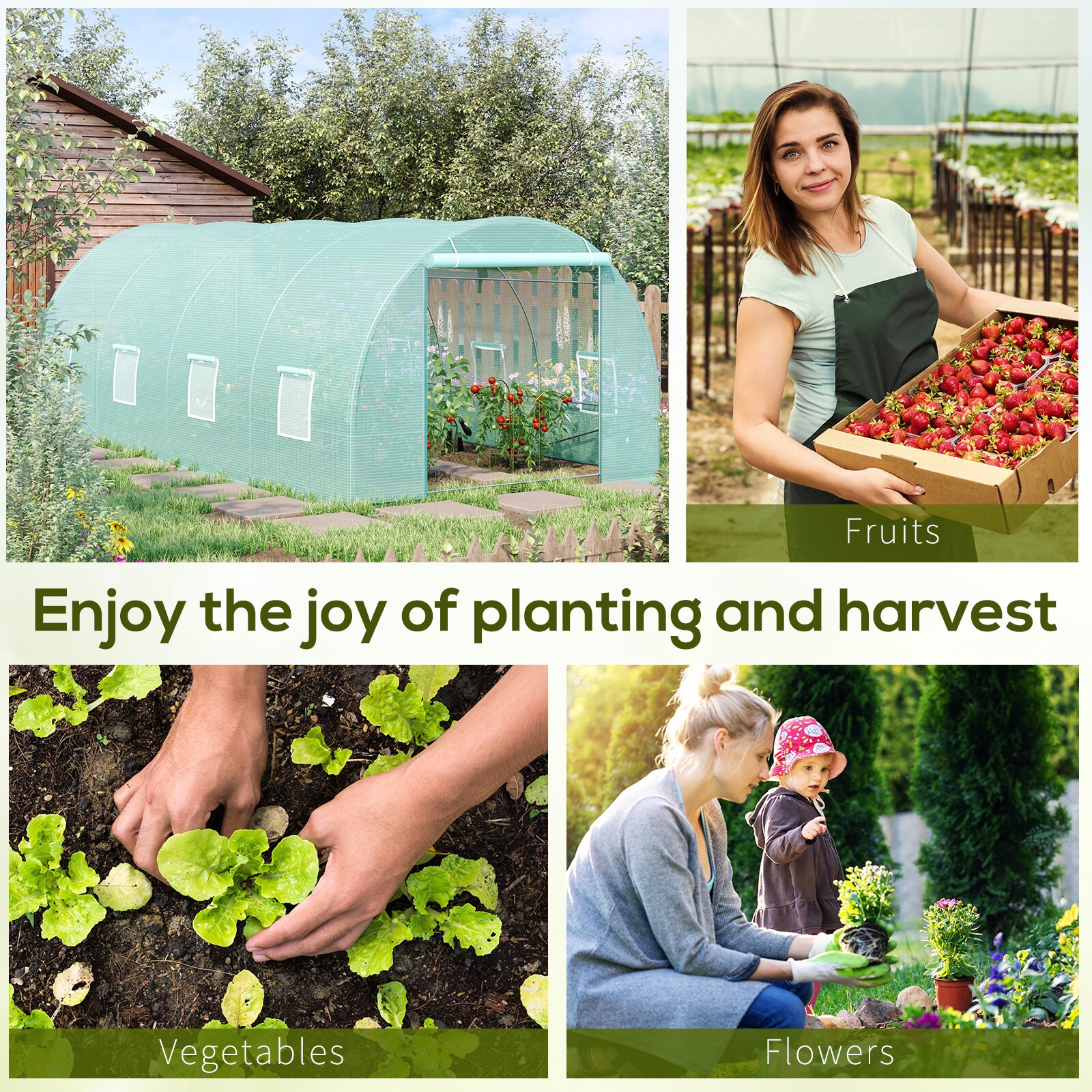 Ayelon CVP200891 greenhouses - View #4