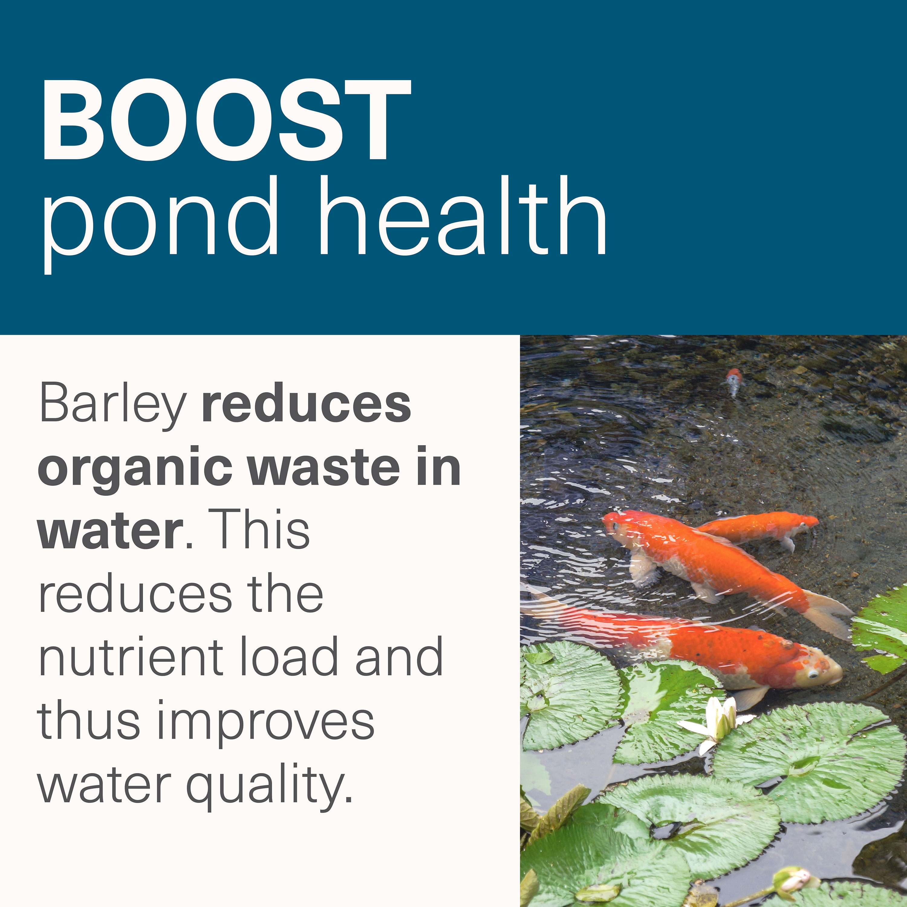 smartpond 96894 Pond-Cleaners - View #5