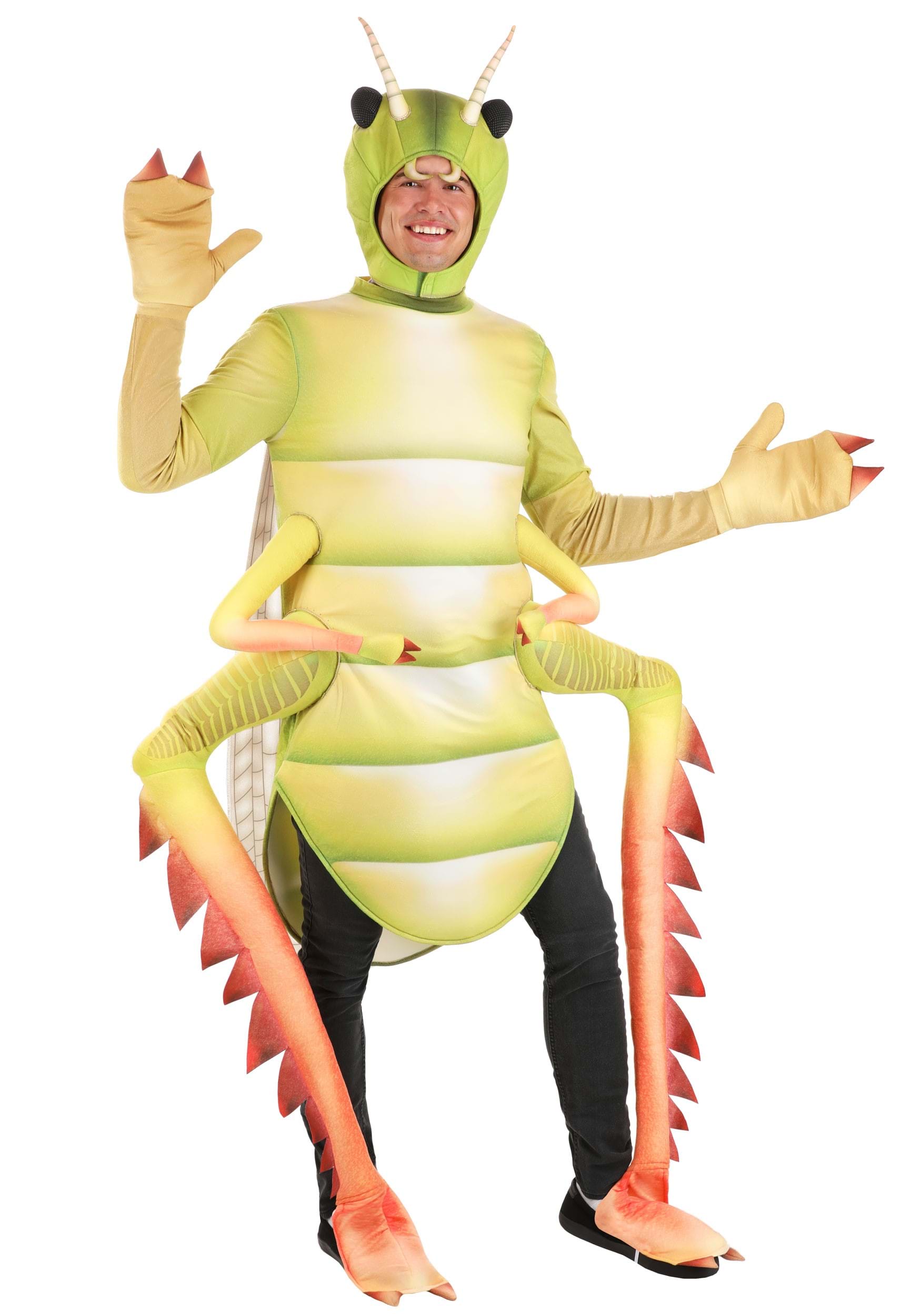HalloweenCostumes.com FUN5863AD-S FUN Costumes Deluxe Grasshopper Adult Costume Adult Bug Costumes Small