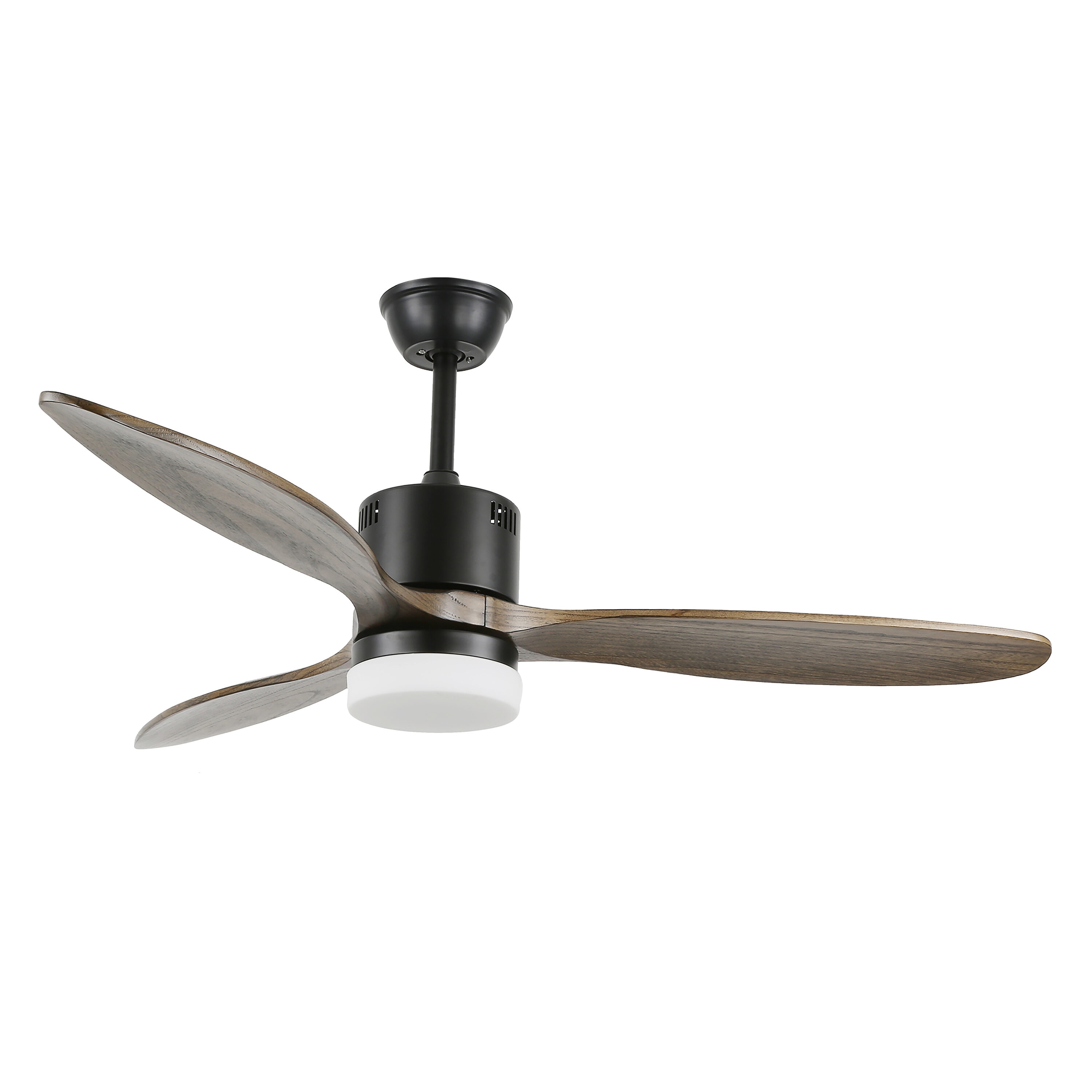 Clear Acrylic Ceiling Fan | Shelly Lighting