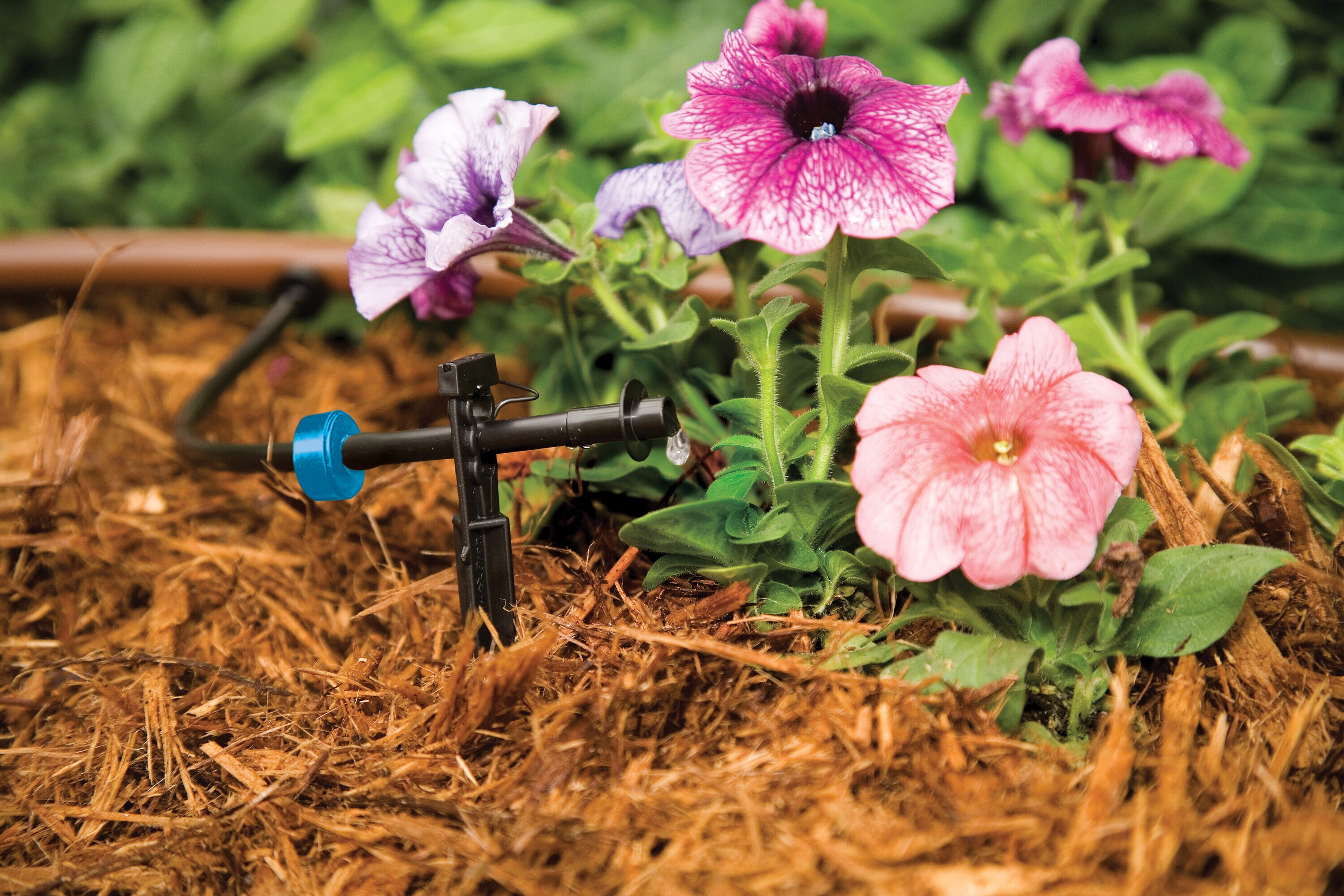 Rain Bird SW05-10PSX Drip-Irrigation-Water-Emitters - View #3