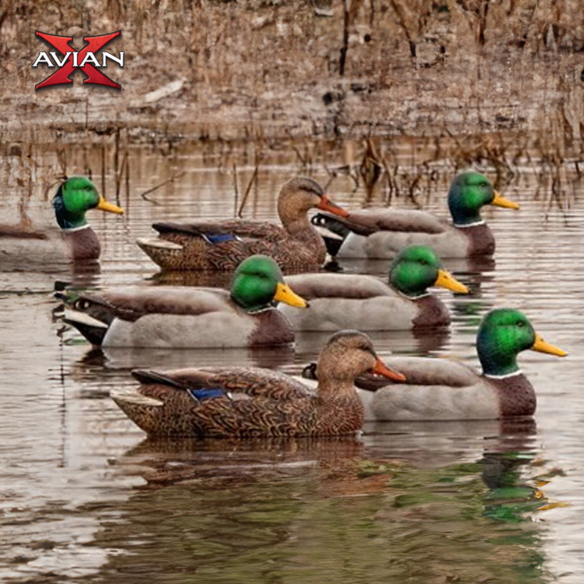Avian X AVX-AVX8076 + AVX-AV Hunting-Equipment - View #6