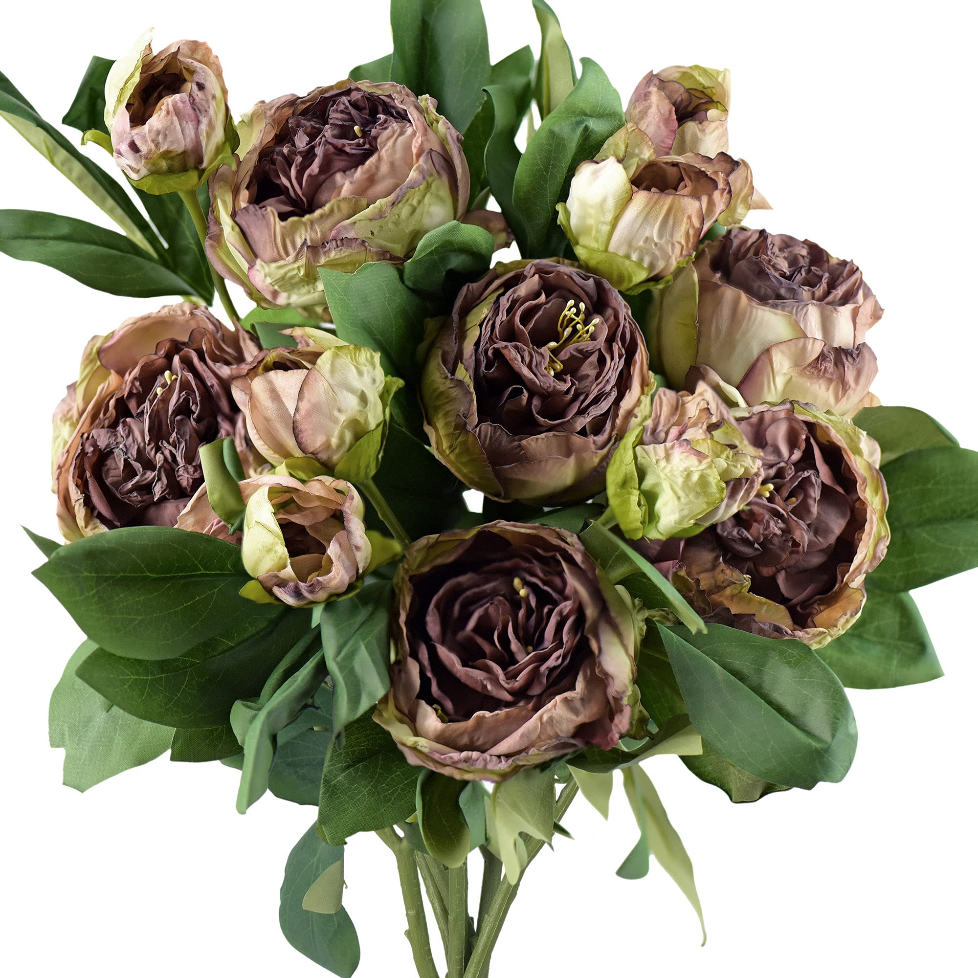Aoibox - Walnut Brown Peonies Artificial Silk Flowers Realistic Dry Look Faux Floral Stems Set f...