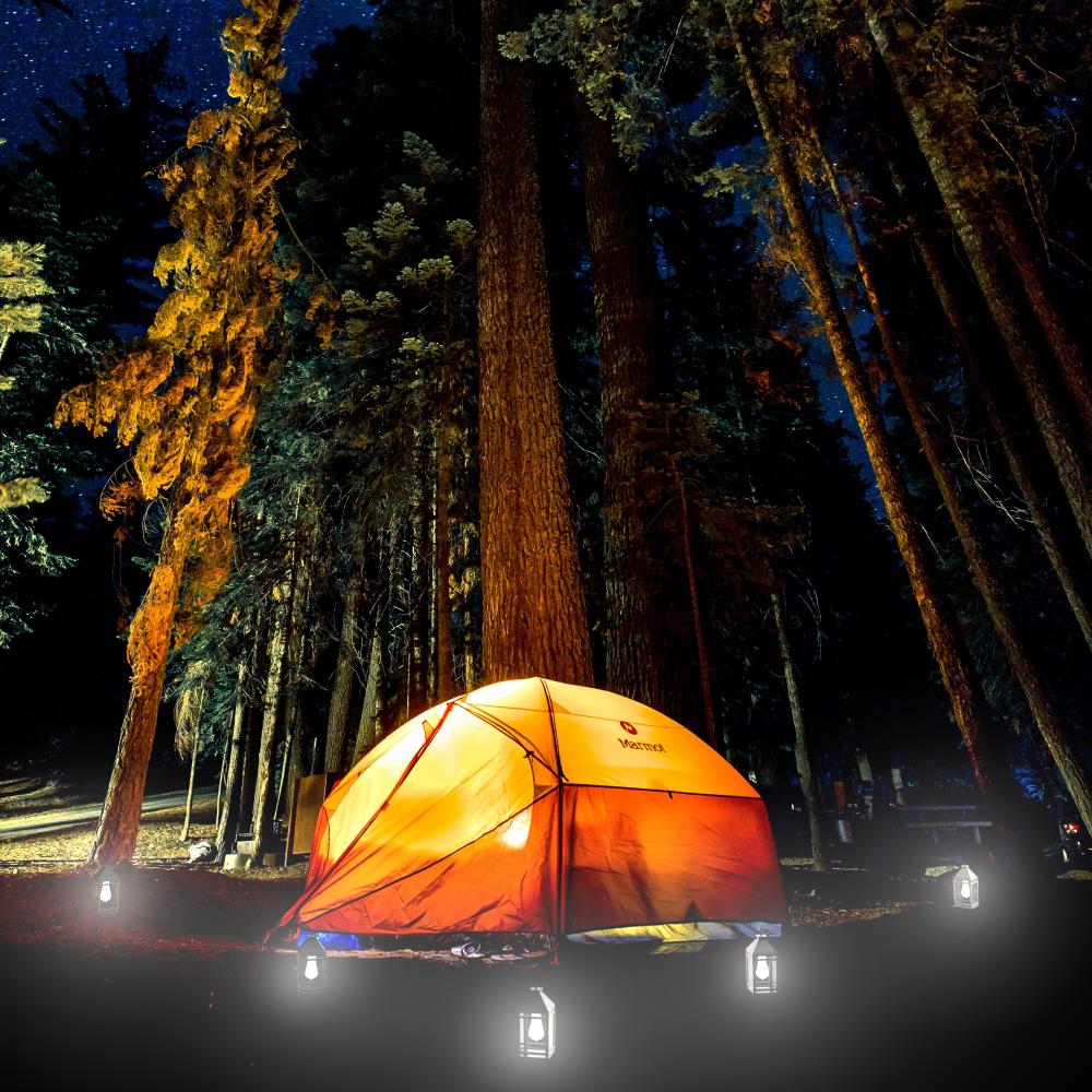 TECHKO STL-228 Path-Lights - View #8