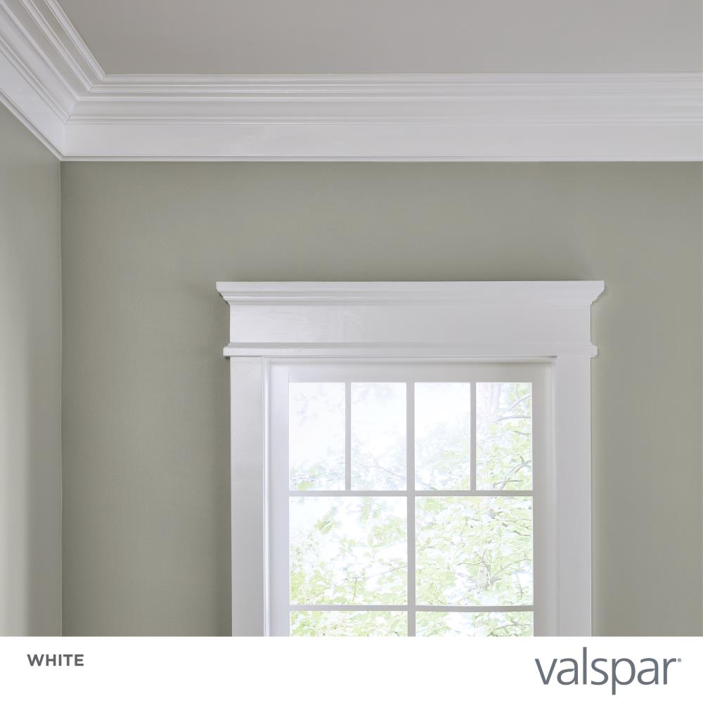 Valspar 007.0790218.007 Int-Ext-Paint - View #3