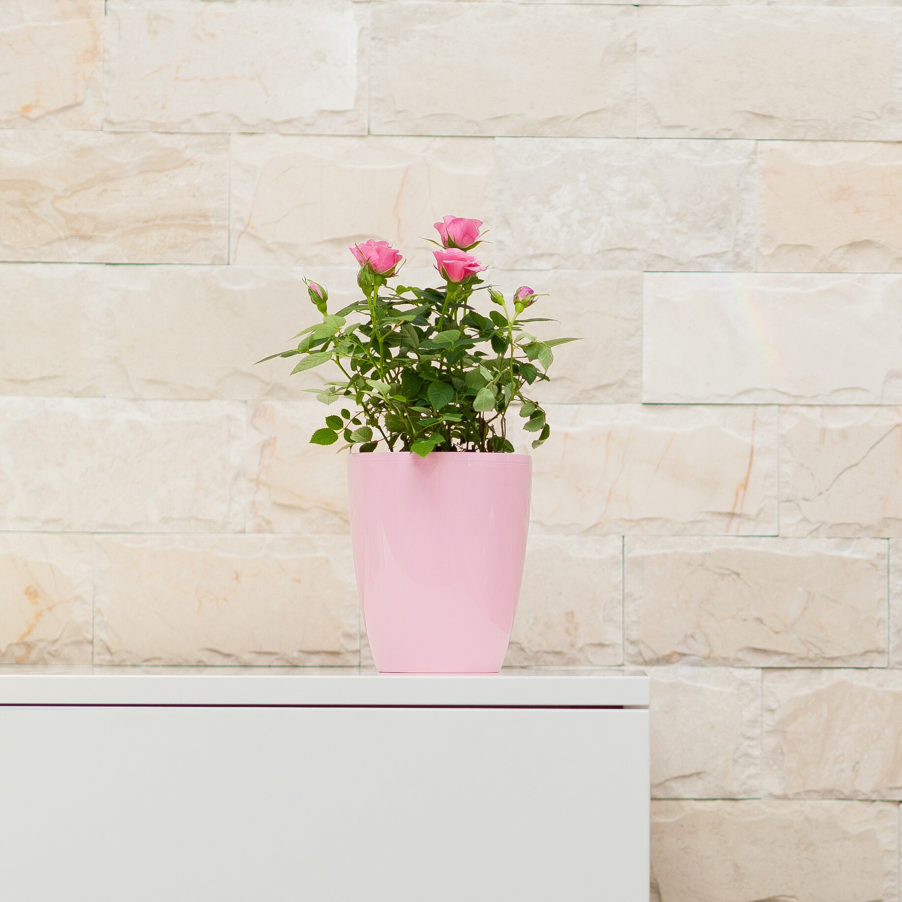 Decopots ORCHIDEA59WHITE Planter-Window-Box - View #7