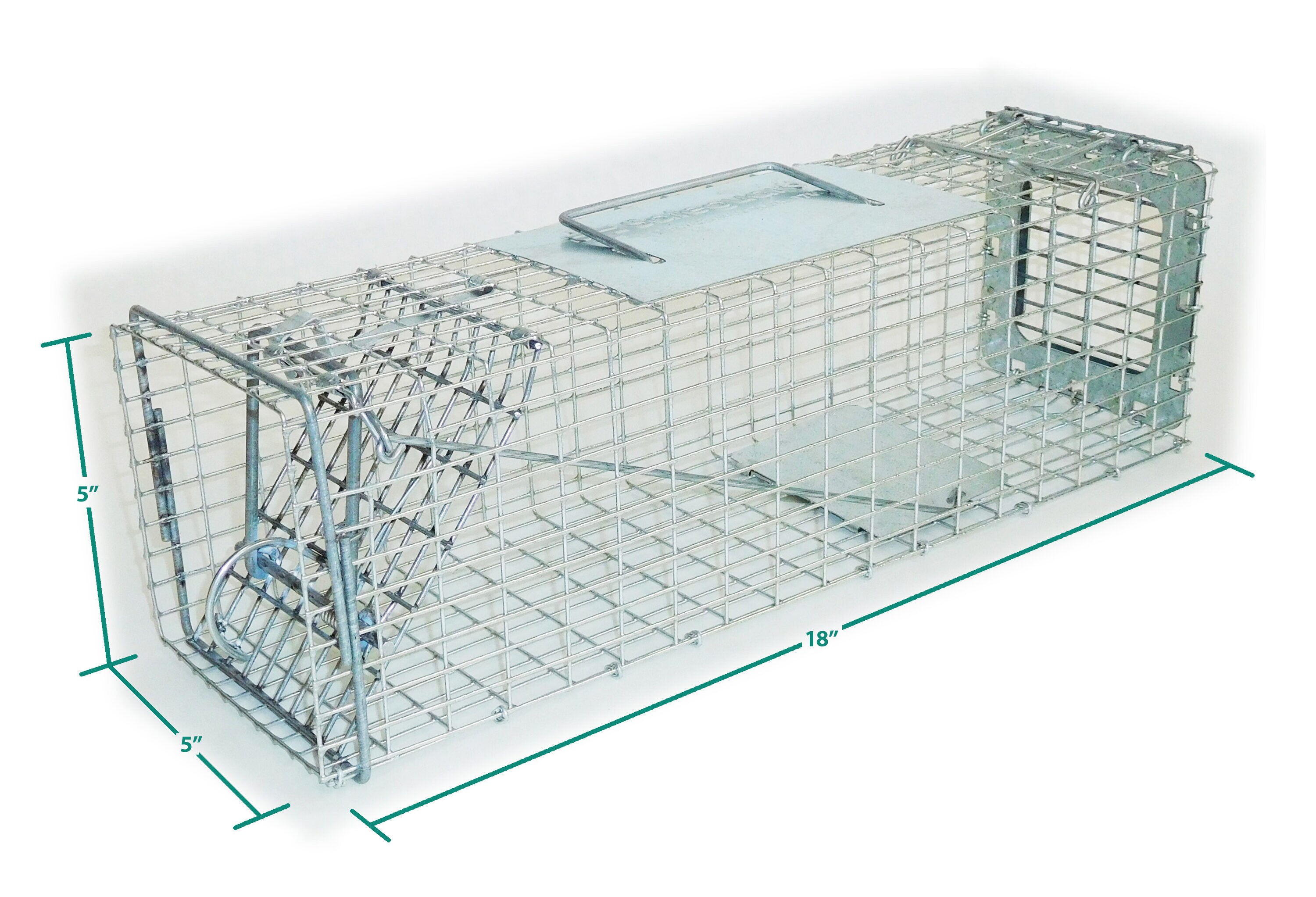 Catchmaster MAX-Catch 36 Ct -Glue Traps for Rodents and Insects
