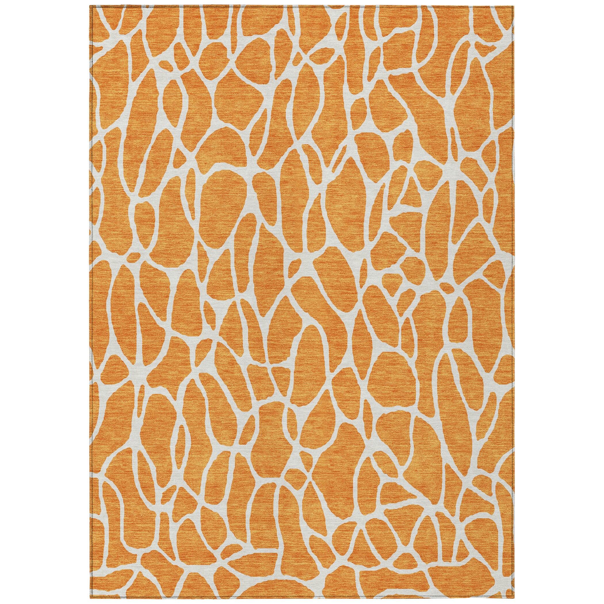 Addison Rugs ACN1024OR8X10 rugs - View #2
