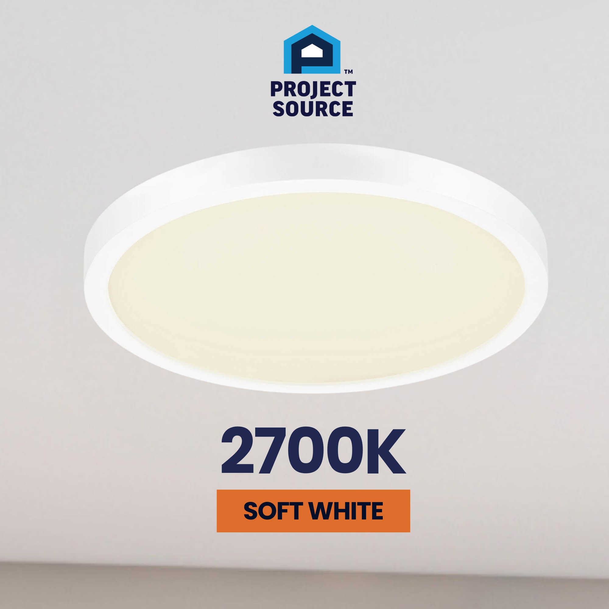 Project Source 43542 flushmounts - View #8