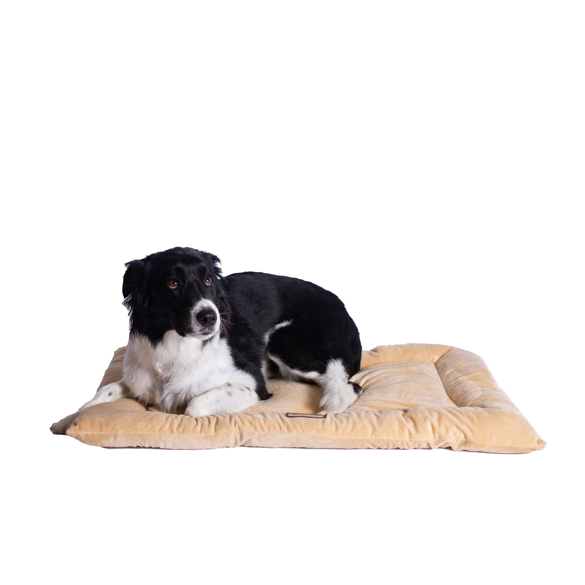 Armarkat M01CMH-L Pet-Beds - View #2