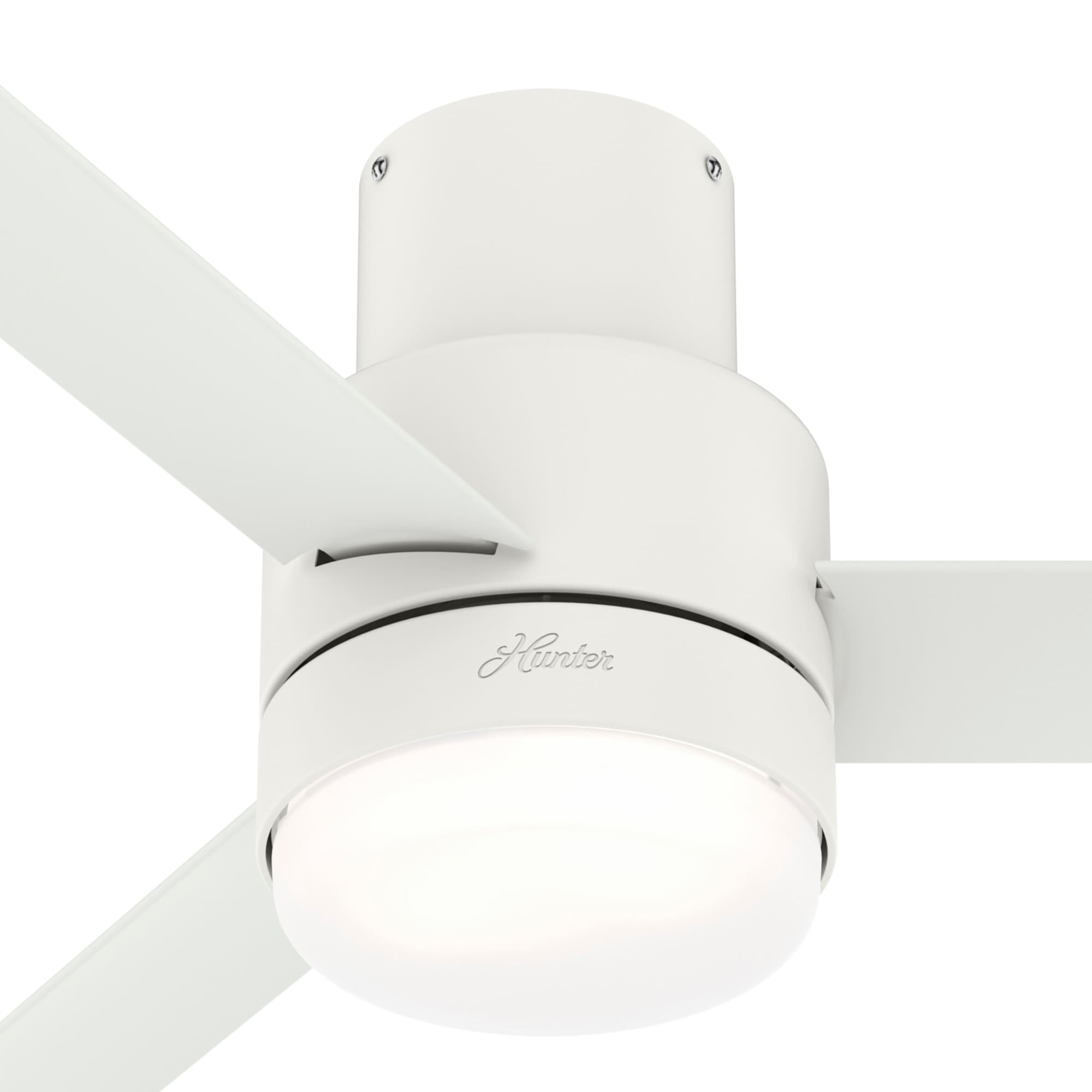 Hunter 51334 Ceiling-Fans - View #10
