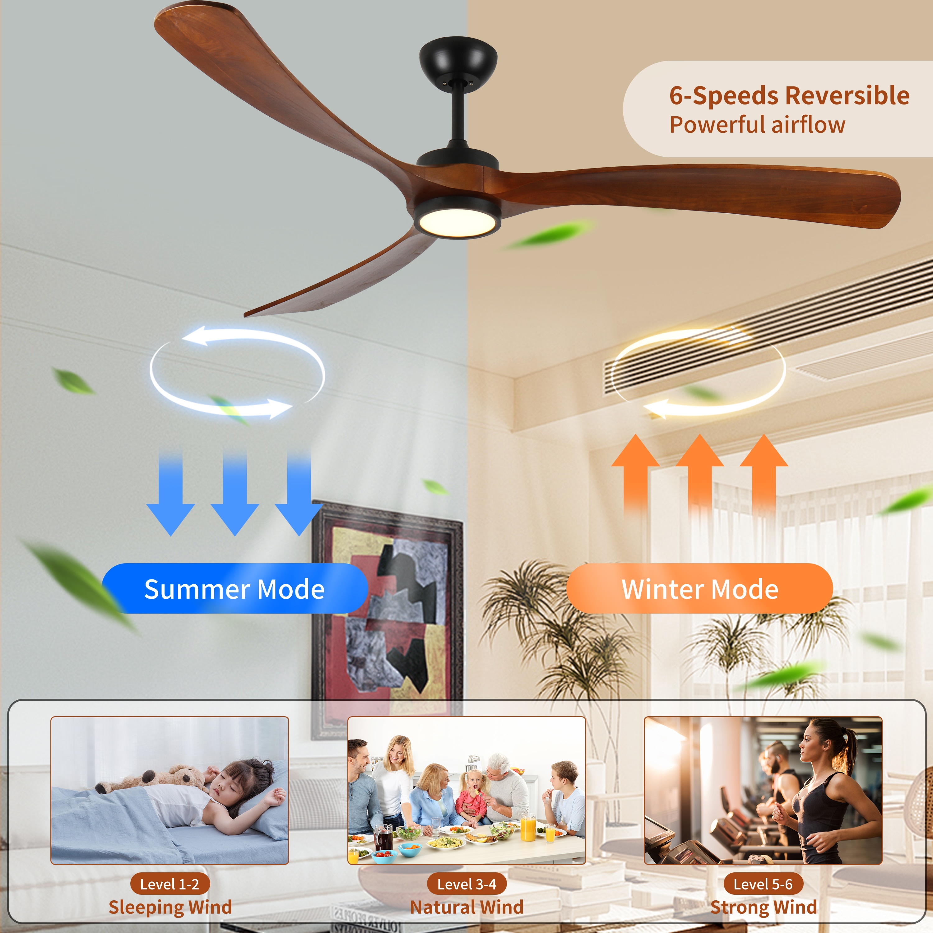 Duclsaty ZYS025 Ceiling-Fans - View #3