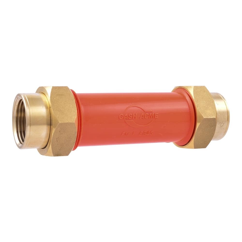 Cash Acme 22937 1-in FNPT Brass Temporary Bypass Kit