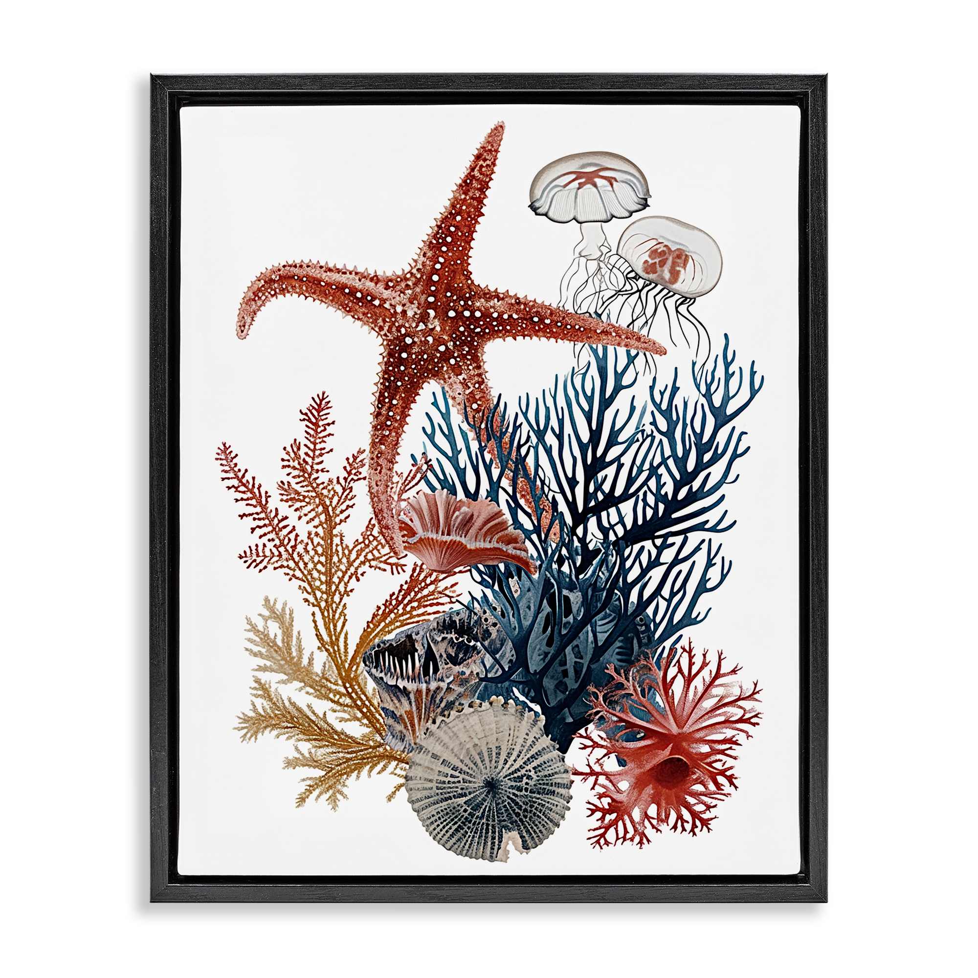 Stupell Industries BS-975-FFB-16X20 Natural Aquatic Sea Creatures Black Framed Floater Canvas Wall Art By Ramona Murdock 17 x 21
