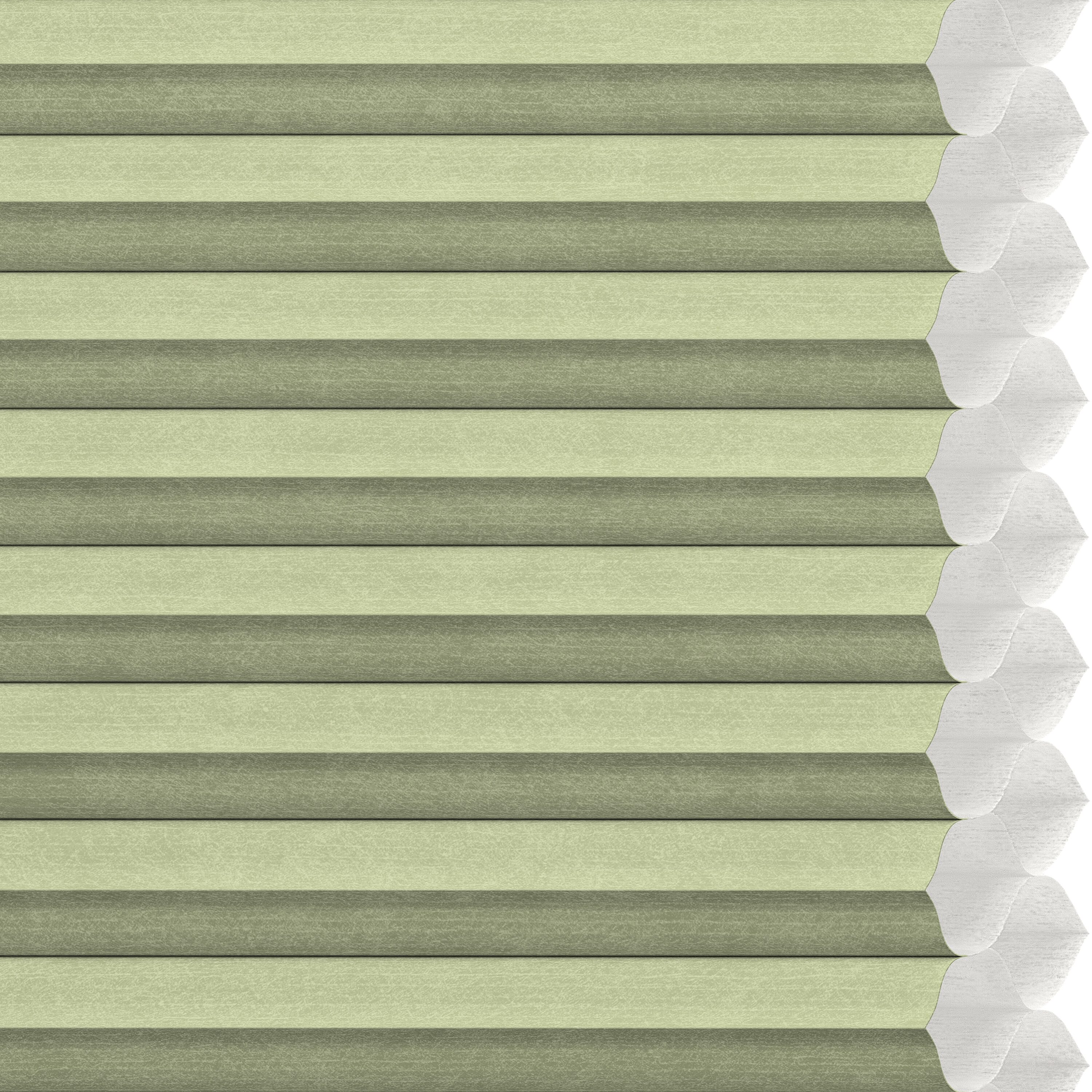 LEVOLOR 511508 Designer Colors Magnolia Light filtering Polyester 1/2-in Double Cellular shade swatch