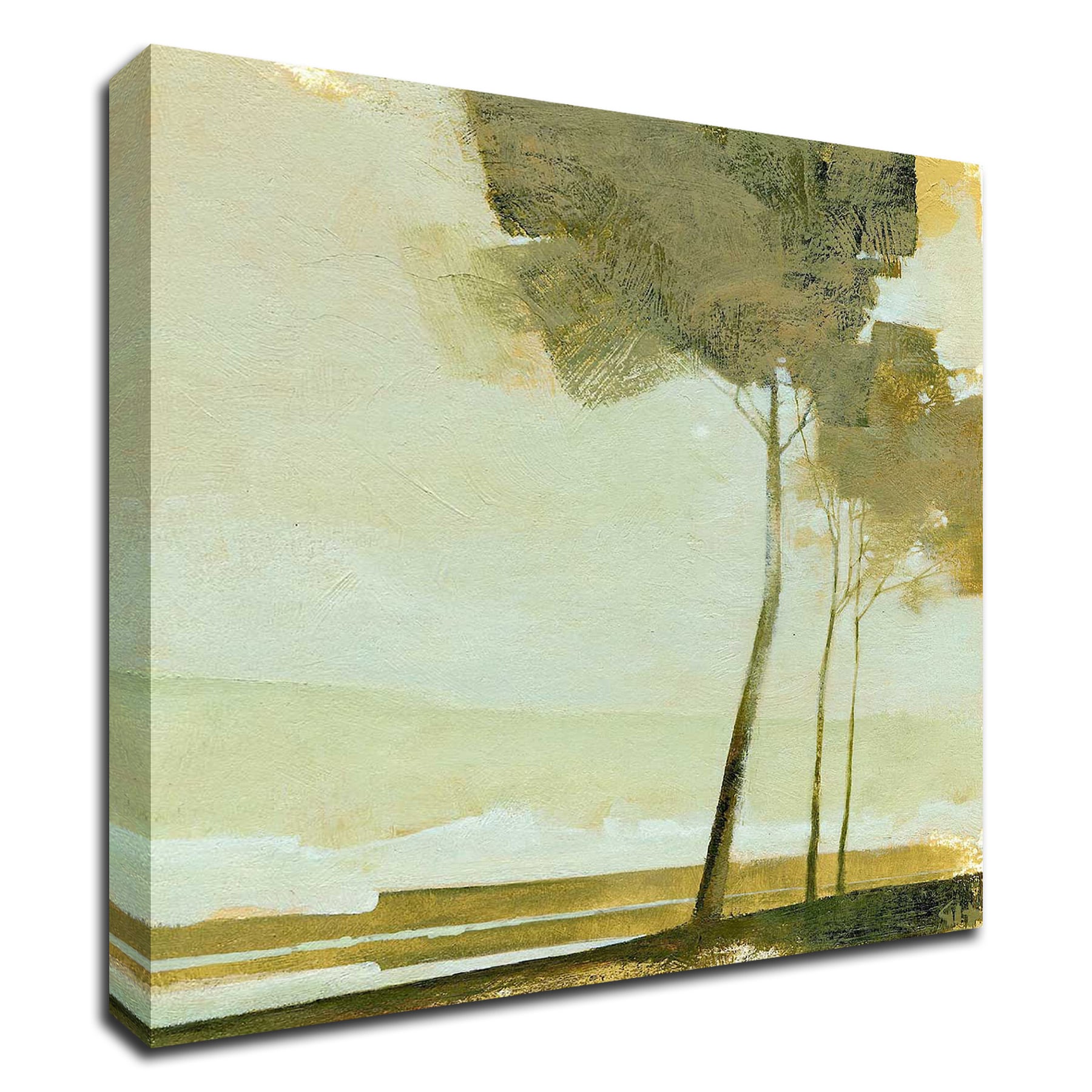 Tangletown Fine Art 8H923DC-1722 Three Trees Greg Hargreaves 22-in H x 17-in W Landscape Print on Canvas