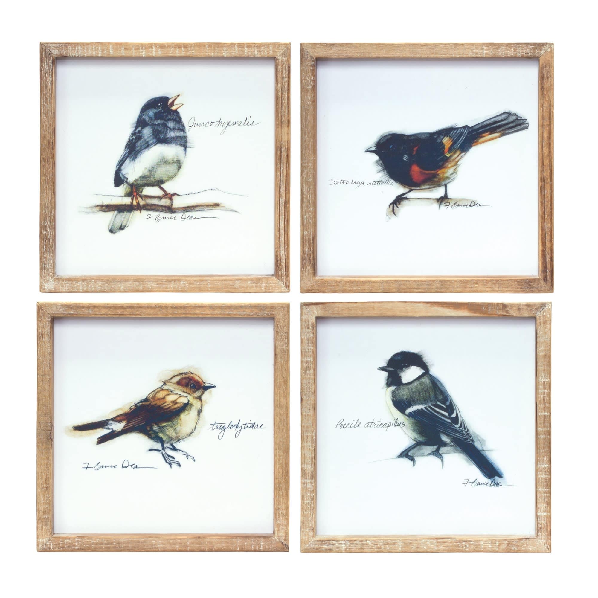 Melrose International 85171DS Framed Bird Print (Set of 4) 9.5SQ MDF/Wood