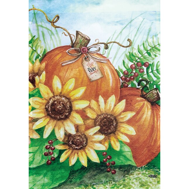 Rain or Shine 1.04-ft W x 1.5-ft H Fall Garden Flag at Lowes.com