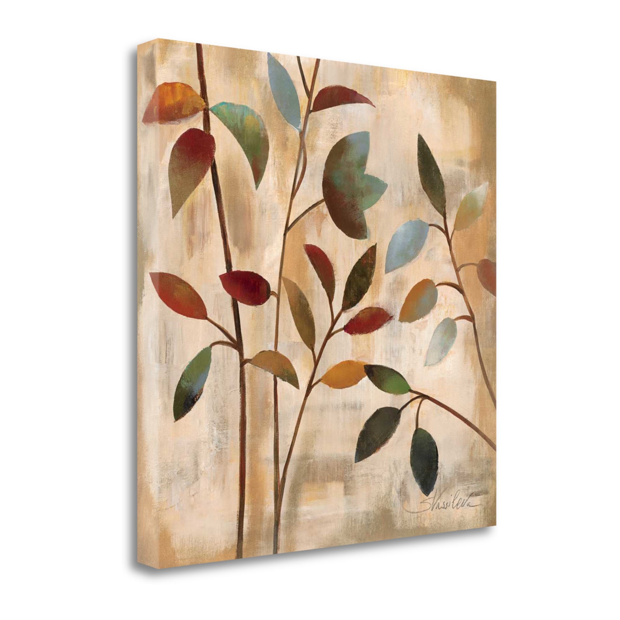 Tangletown Fine Art WA604078-1818C Branches At Sunrise I Silvia Vassileva 18-in H x 18-in W Floral Print on Canvas