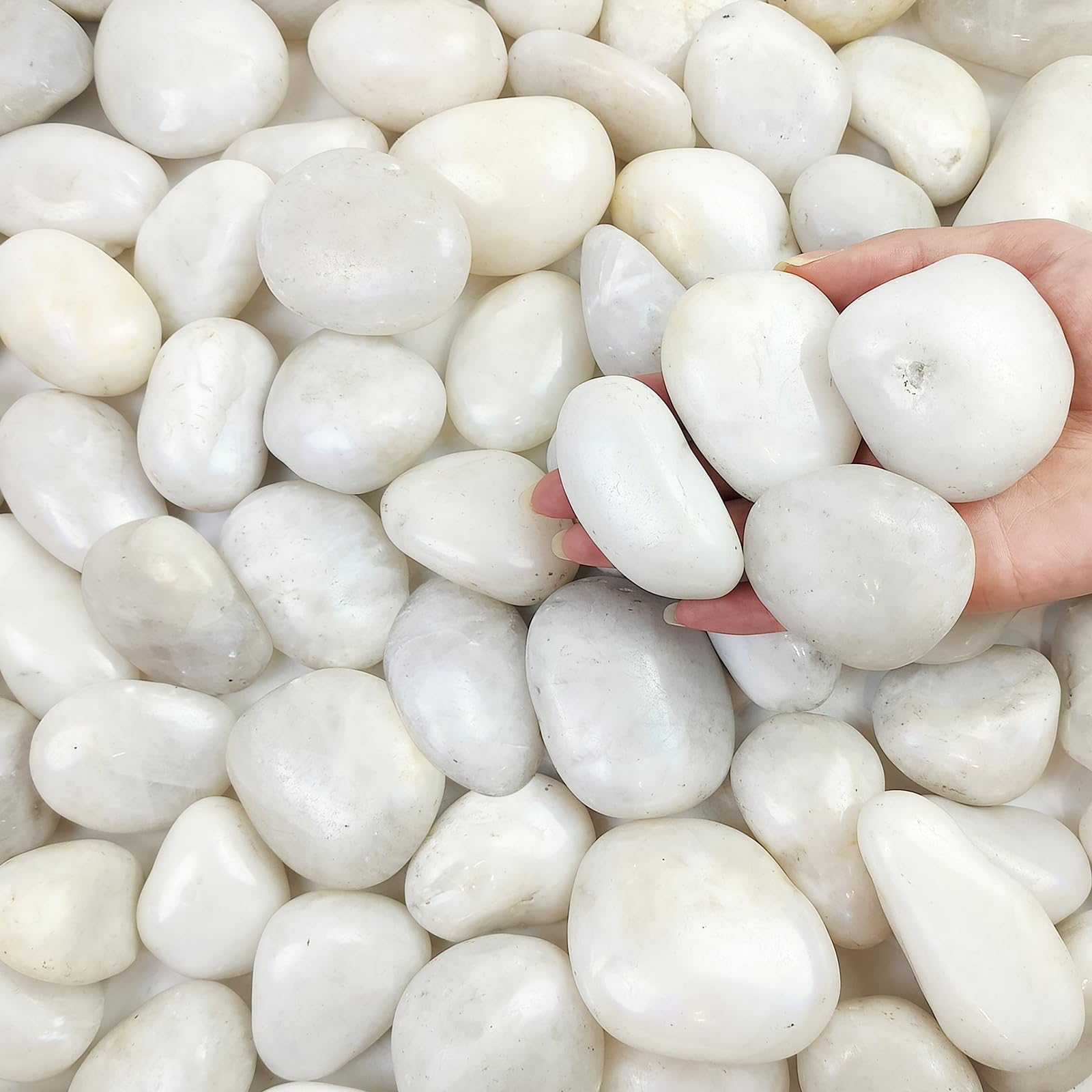 Adrinfly  20 lbs White River Rocks 2 to 3 Inch Large Decorative Stones for Landscaping Planters Vase Aquarium and Outdoor Garden 1 Pack