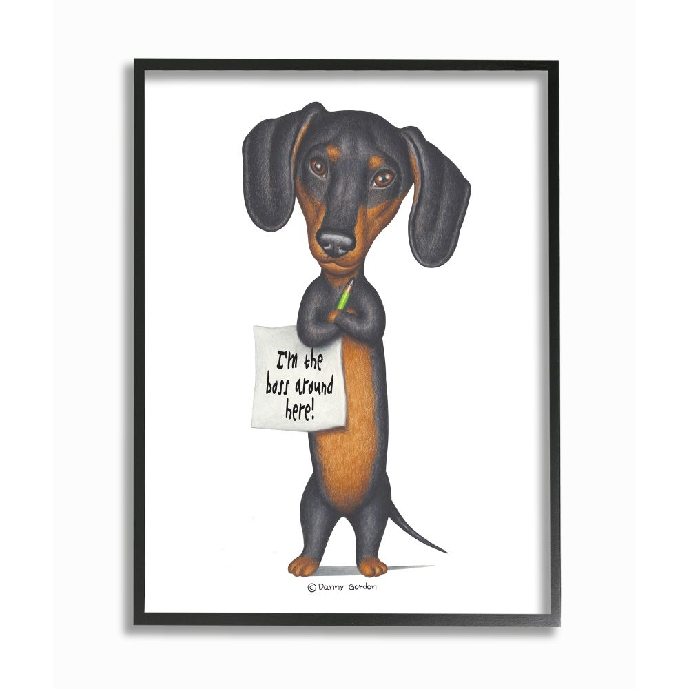 Stupell Industries Dachshund 'I'm The Boss' Fun Family Pet Phrase Framed Wall Art - Multi-Color - Black - 24 x 30