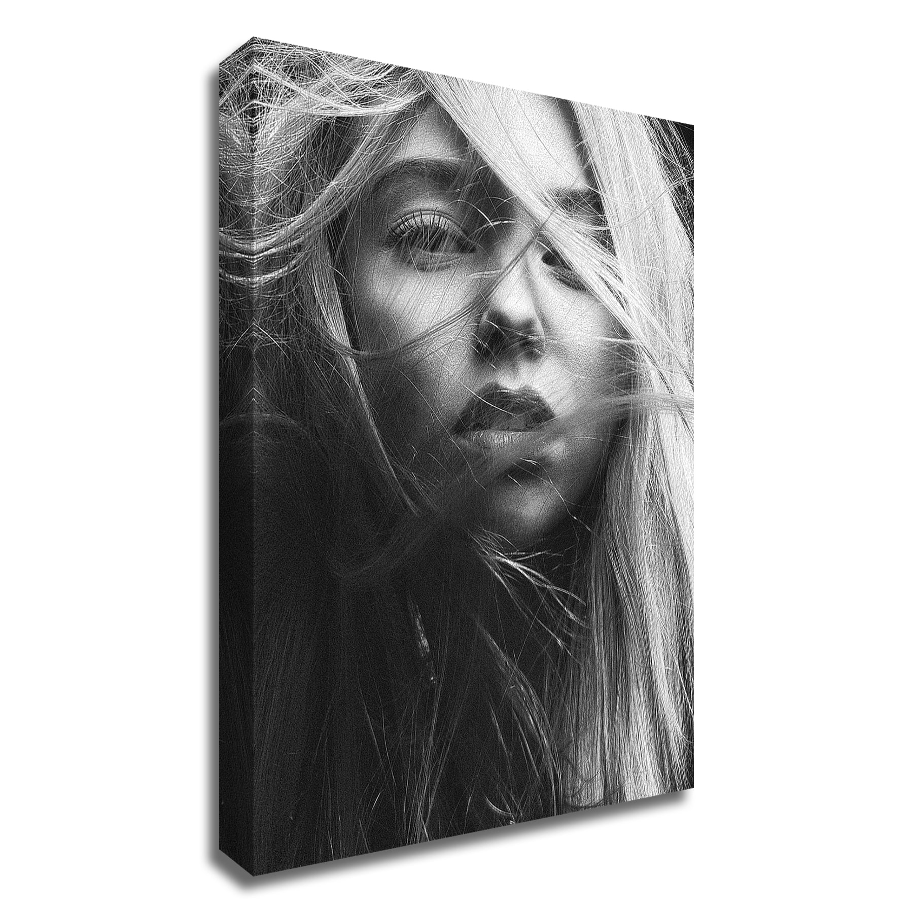 Tangletown Fine Art 28-in H x 20-in W Figurative Print on Canvas in the ...