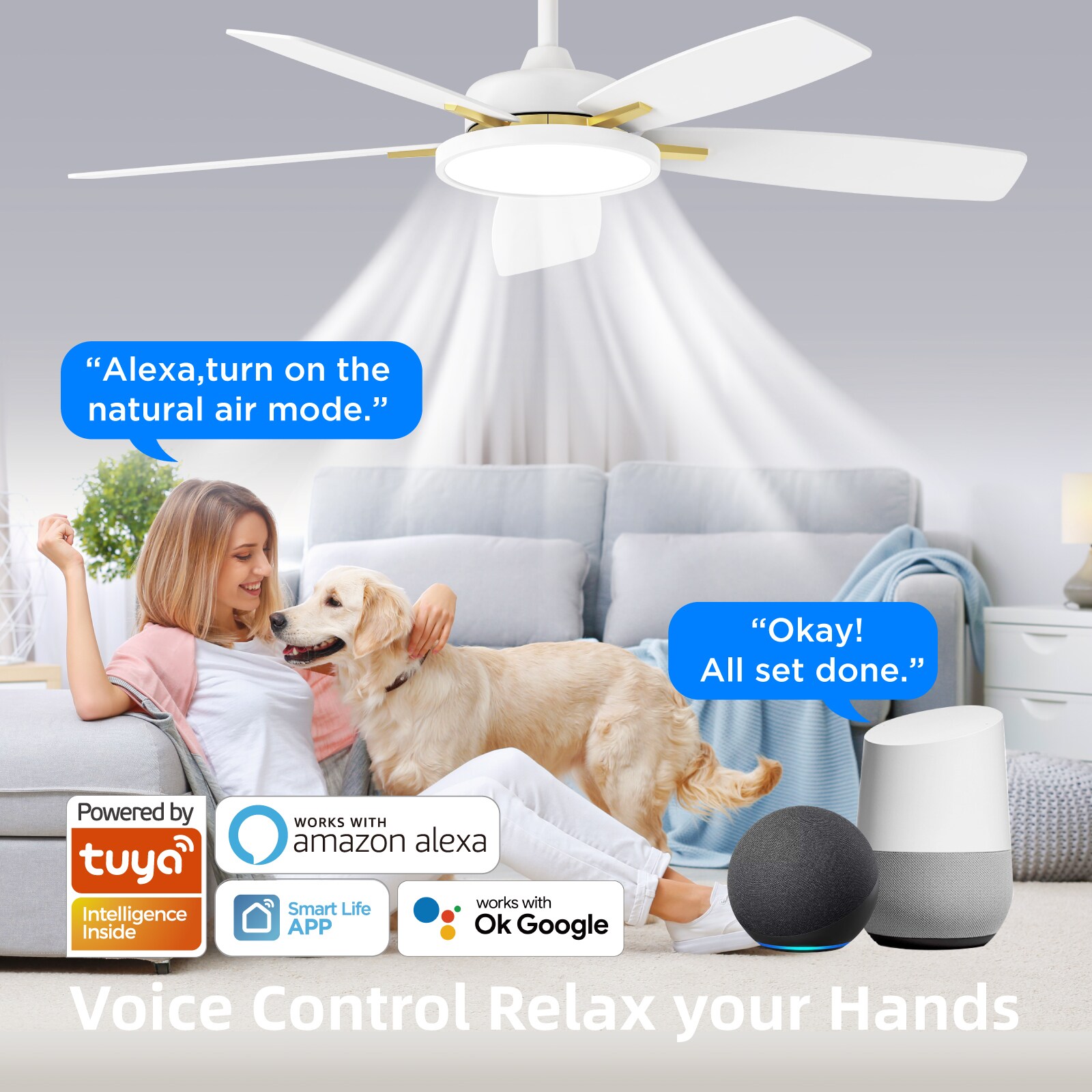 TALOYA RV52-WG-5D-T5 Ceiling-Fans - View #2