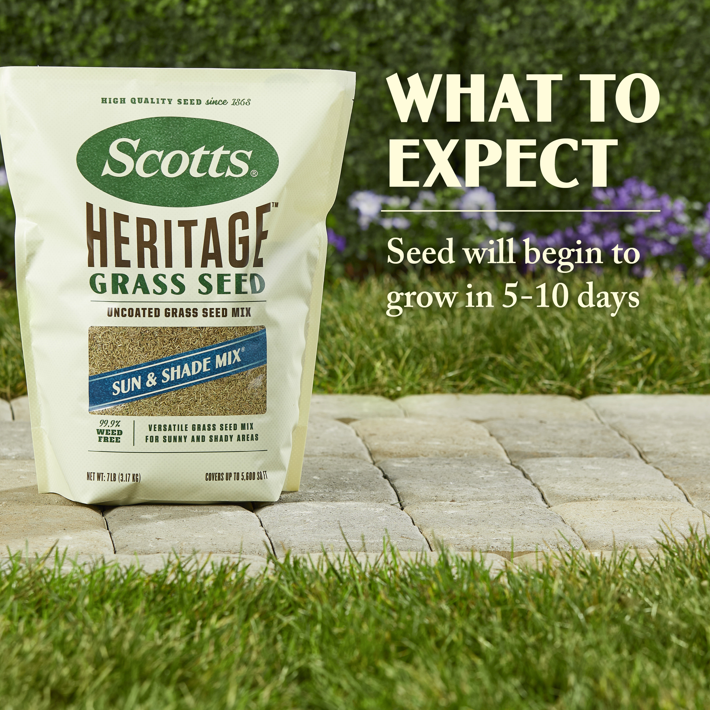 Scotts 17008 Grass-Seed - View #3