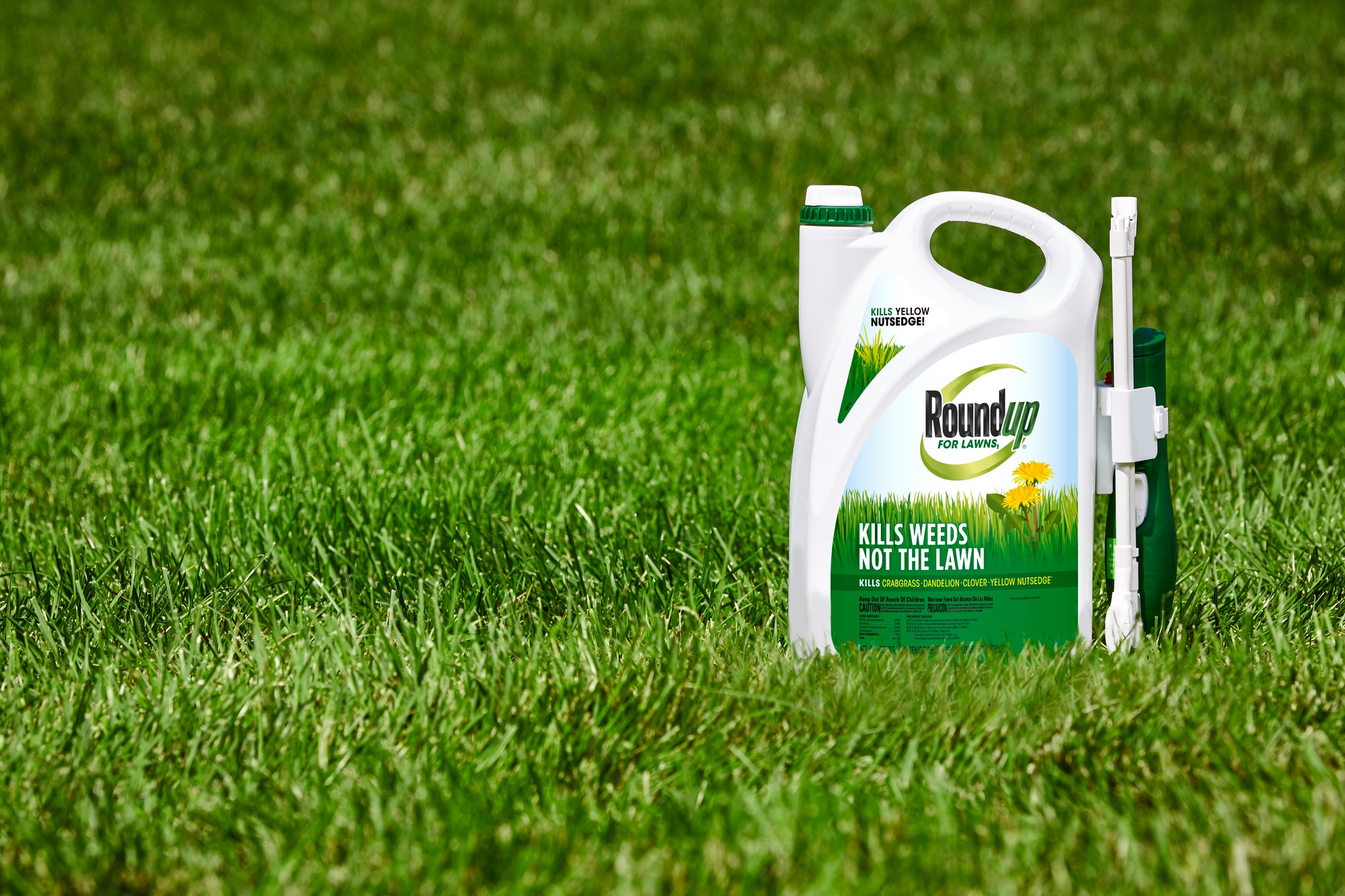 Roundup VB02163 Weed-Killers - View #3