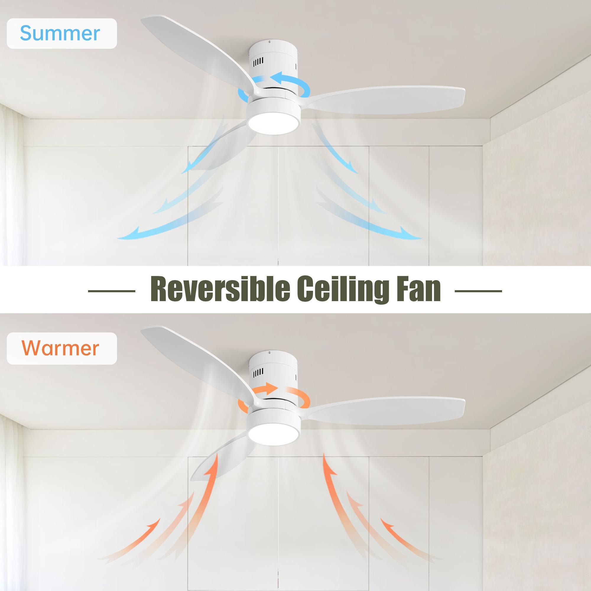 Bayfeve BFKS-47089-CF Ceiling-Fans - View #5